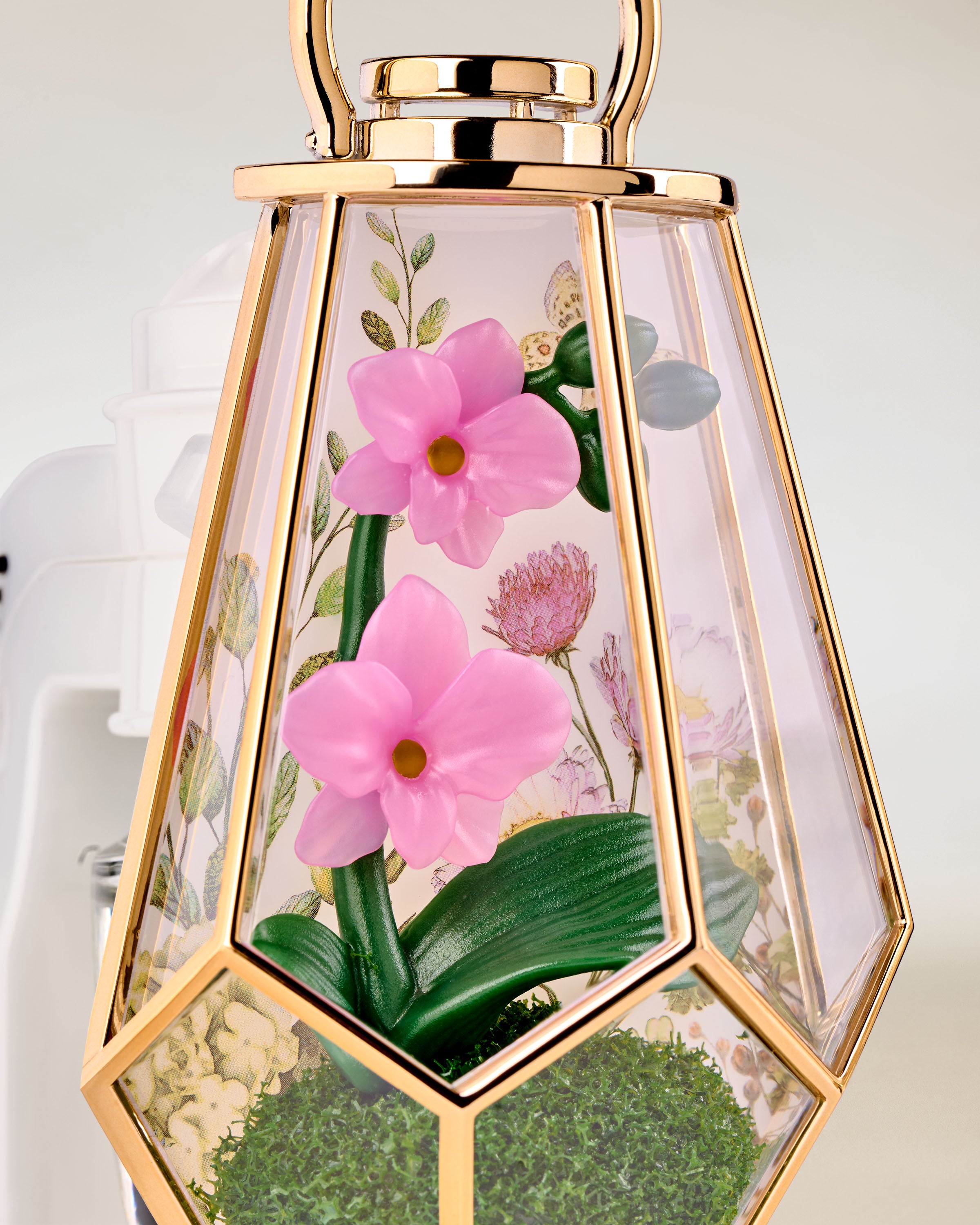 Orchid Terrarium Scent Control™ Nightlight Wallflowers Fragrance Plug