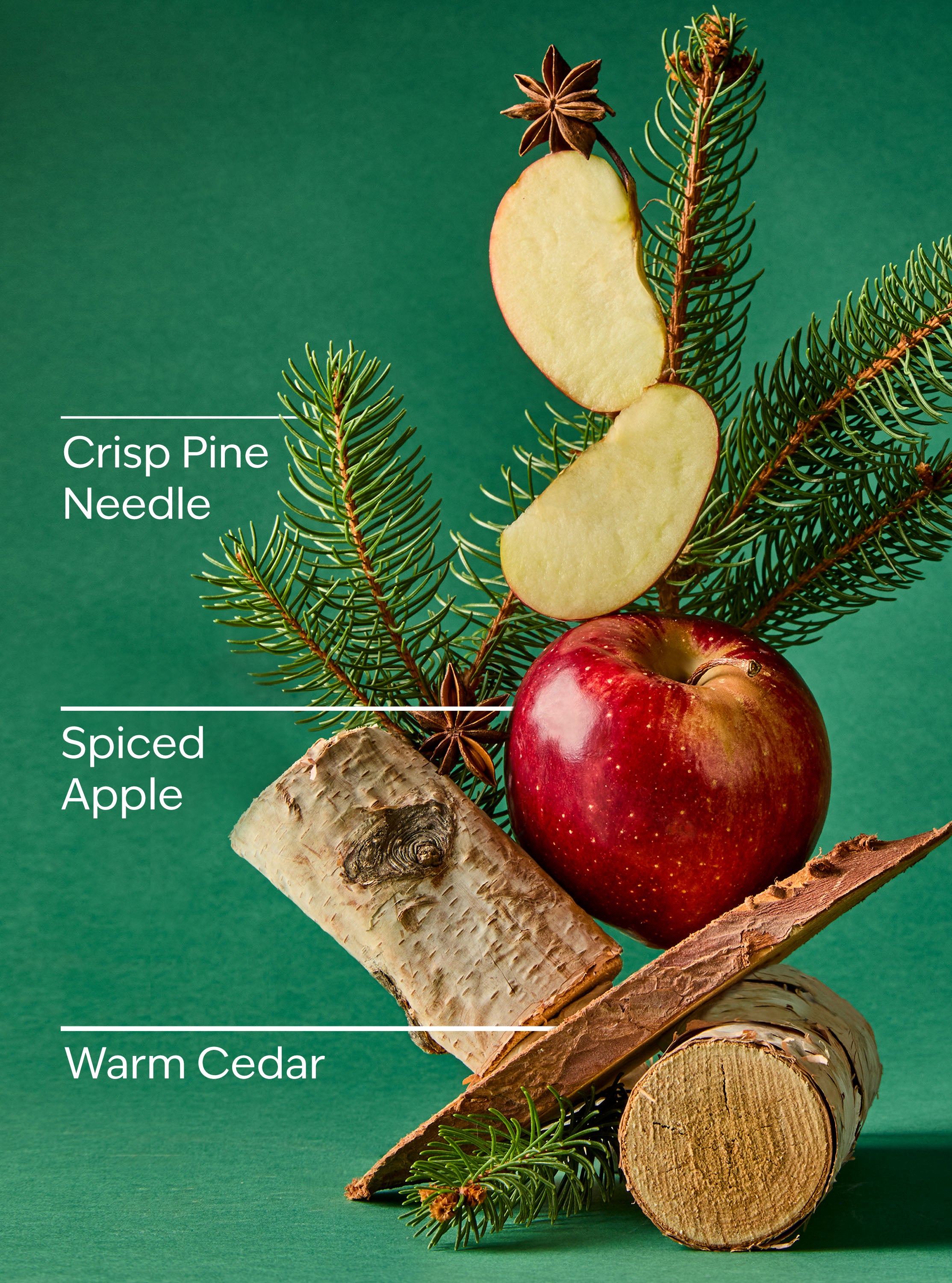 Tree Farm Wallflowers Fragrance Refill