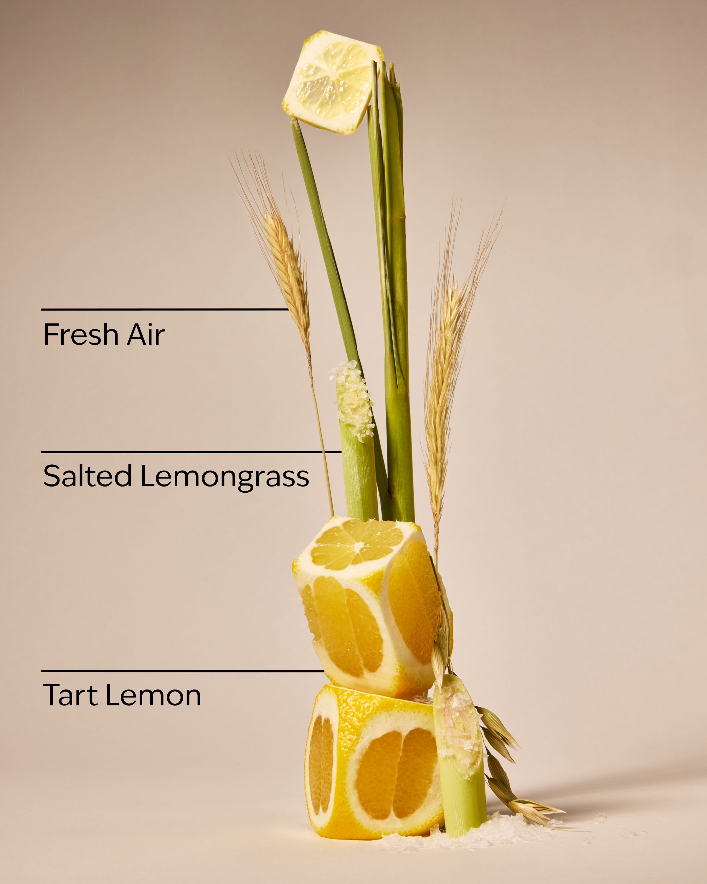 Laundry Room Lemon Gentle & Clean Foaming Hand Soap