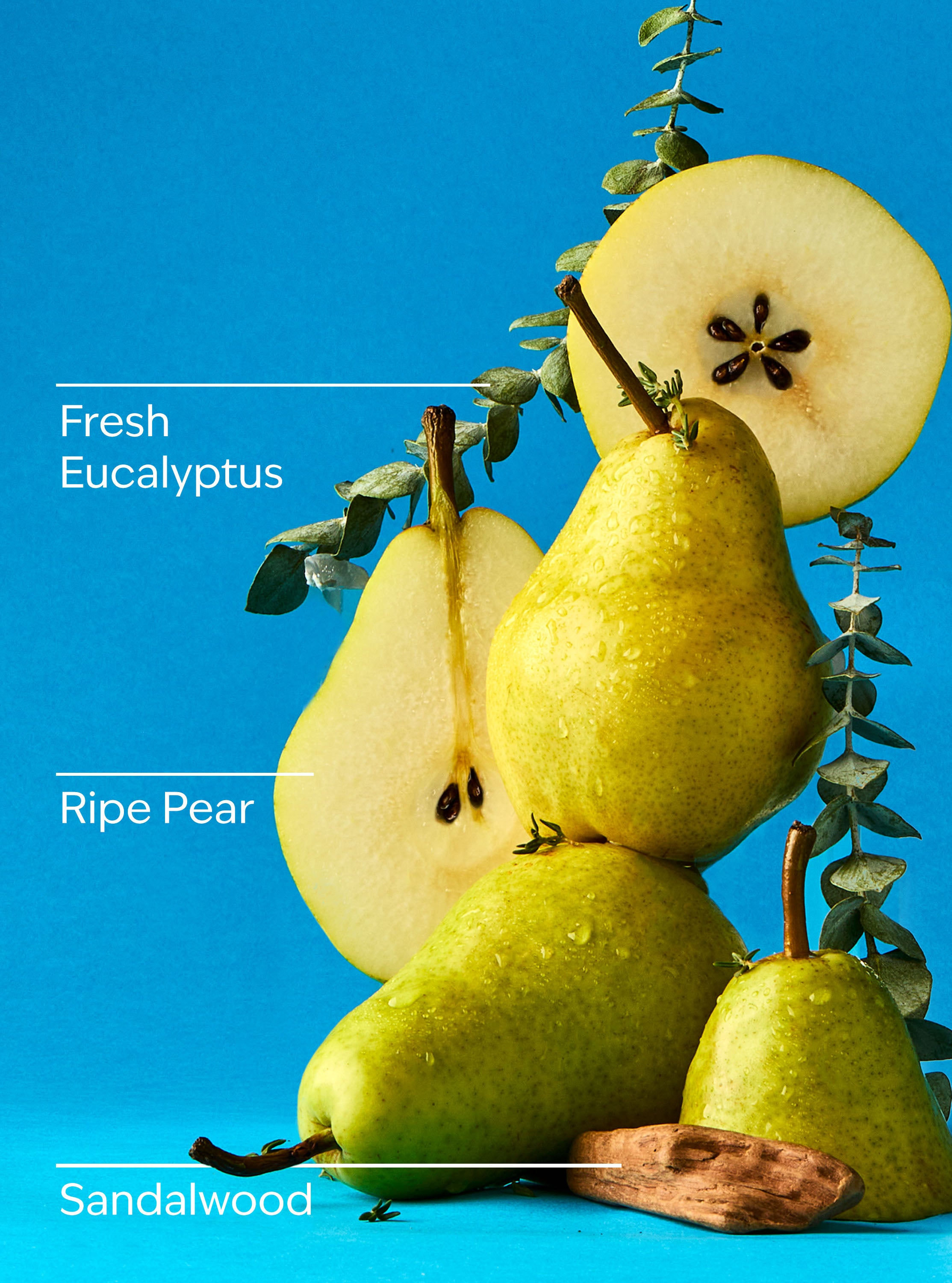 Falling Flurries 3-Wick Candle