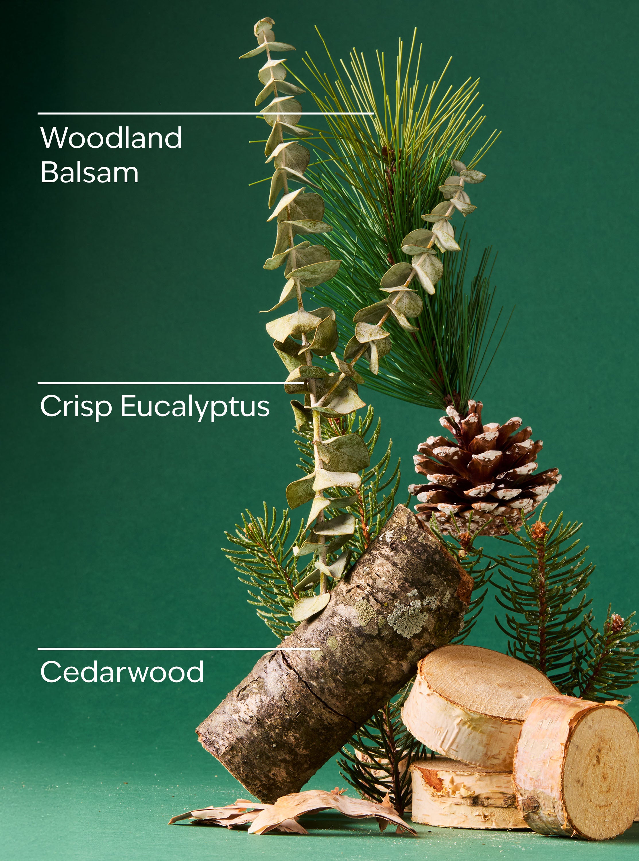 Fresh Balsam Car Fragrance Refill