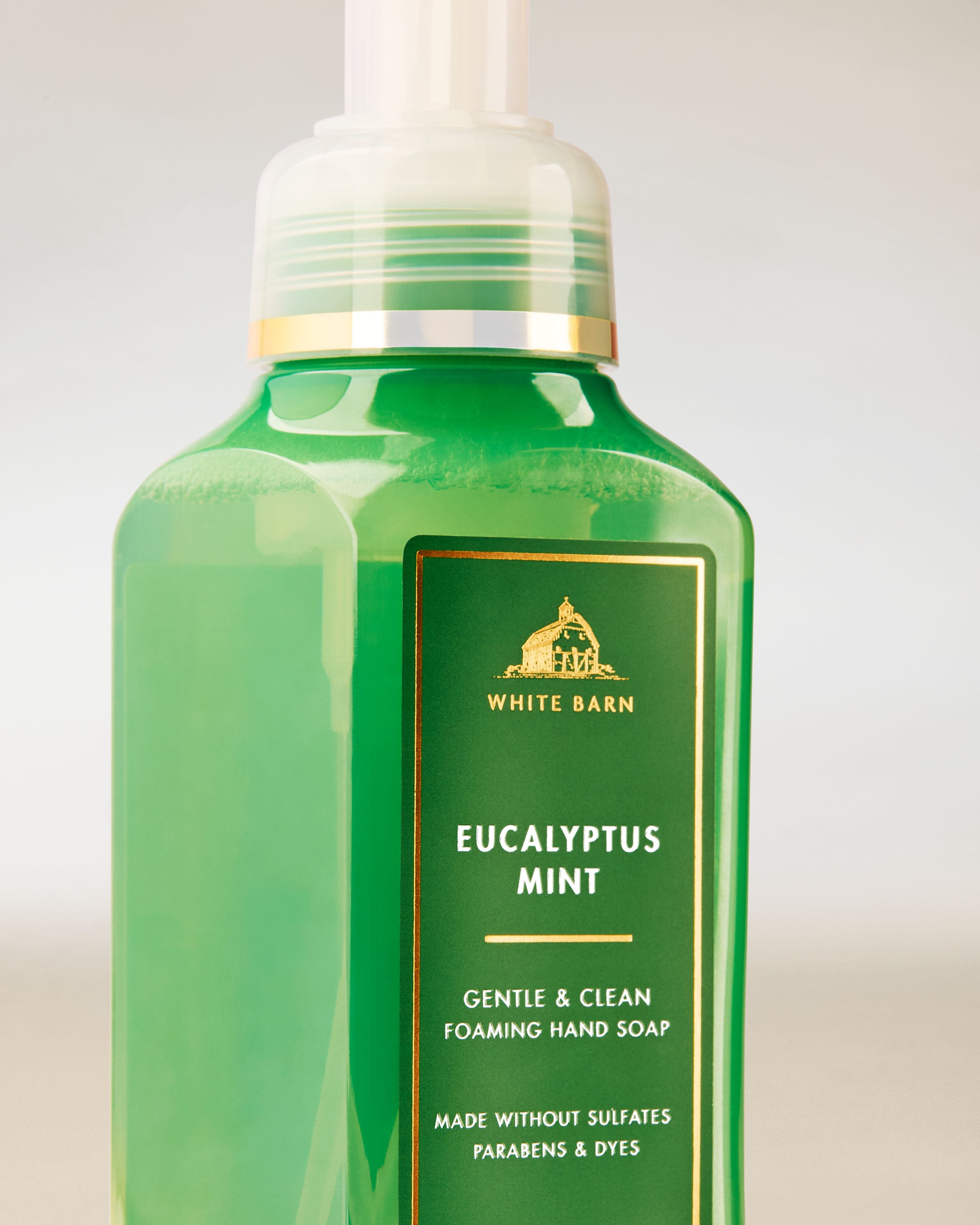 Eucalyptus Mint Gentle & Clean Foaming Hand Soap