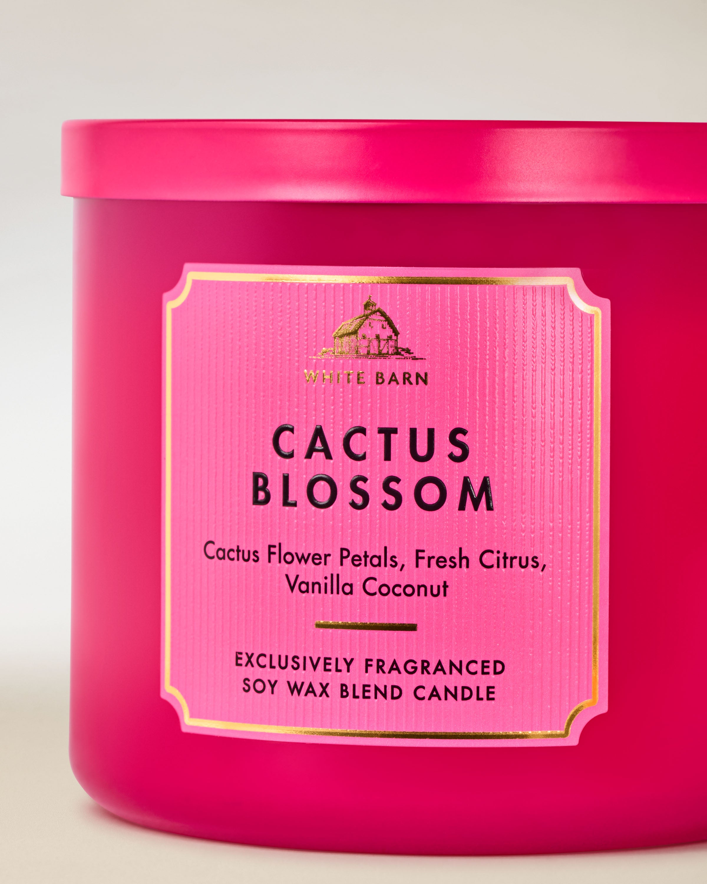 Cactus Blossom 3-Wick Candle