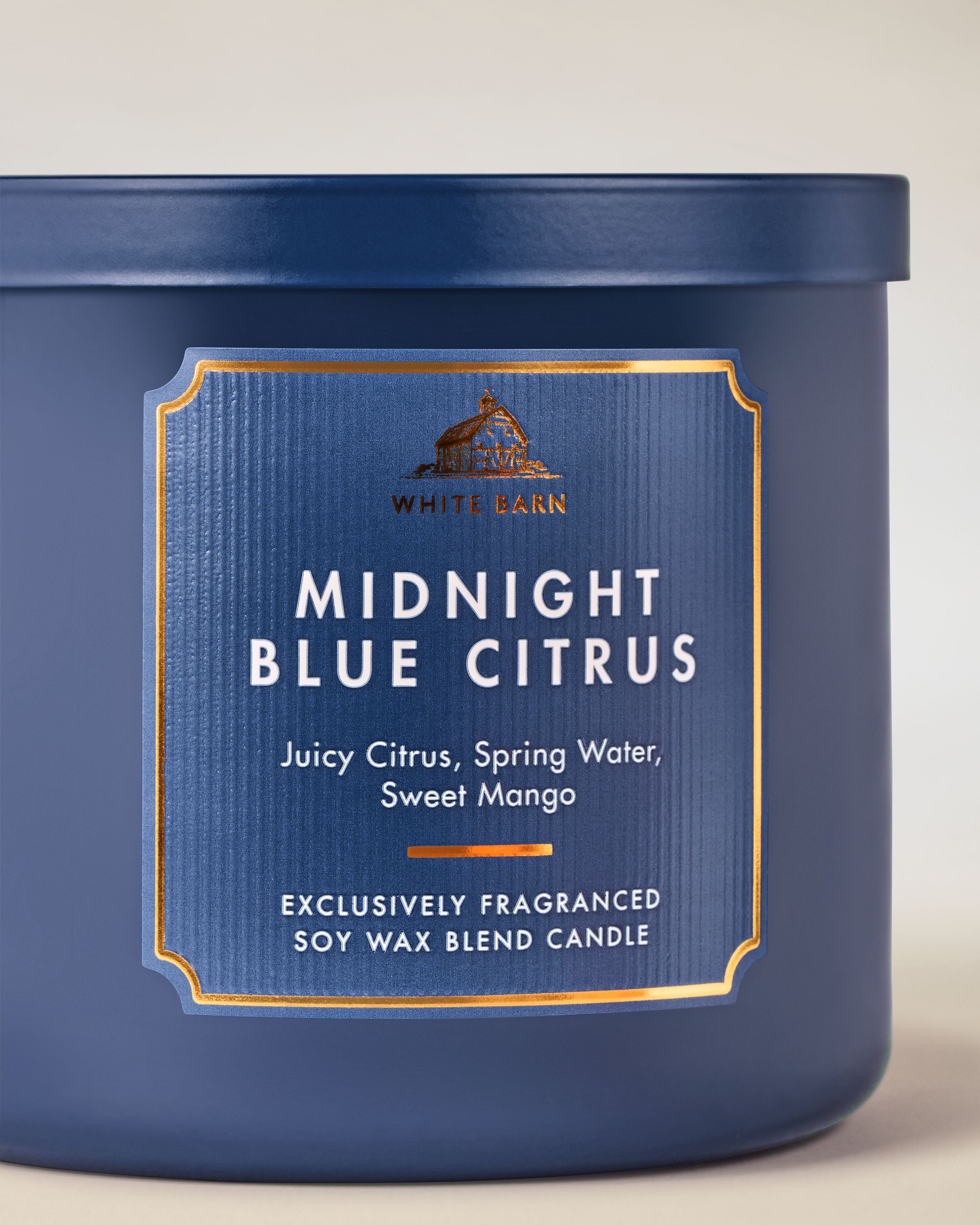Midnight Blue Citrus 3-Wick Candle