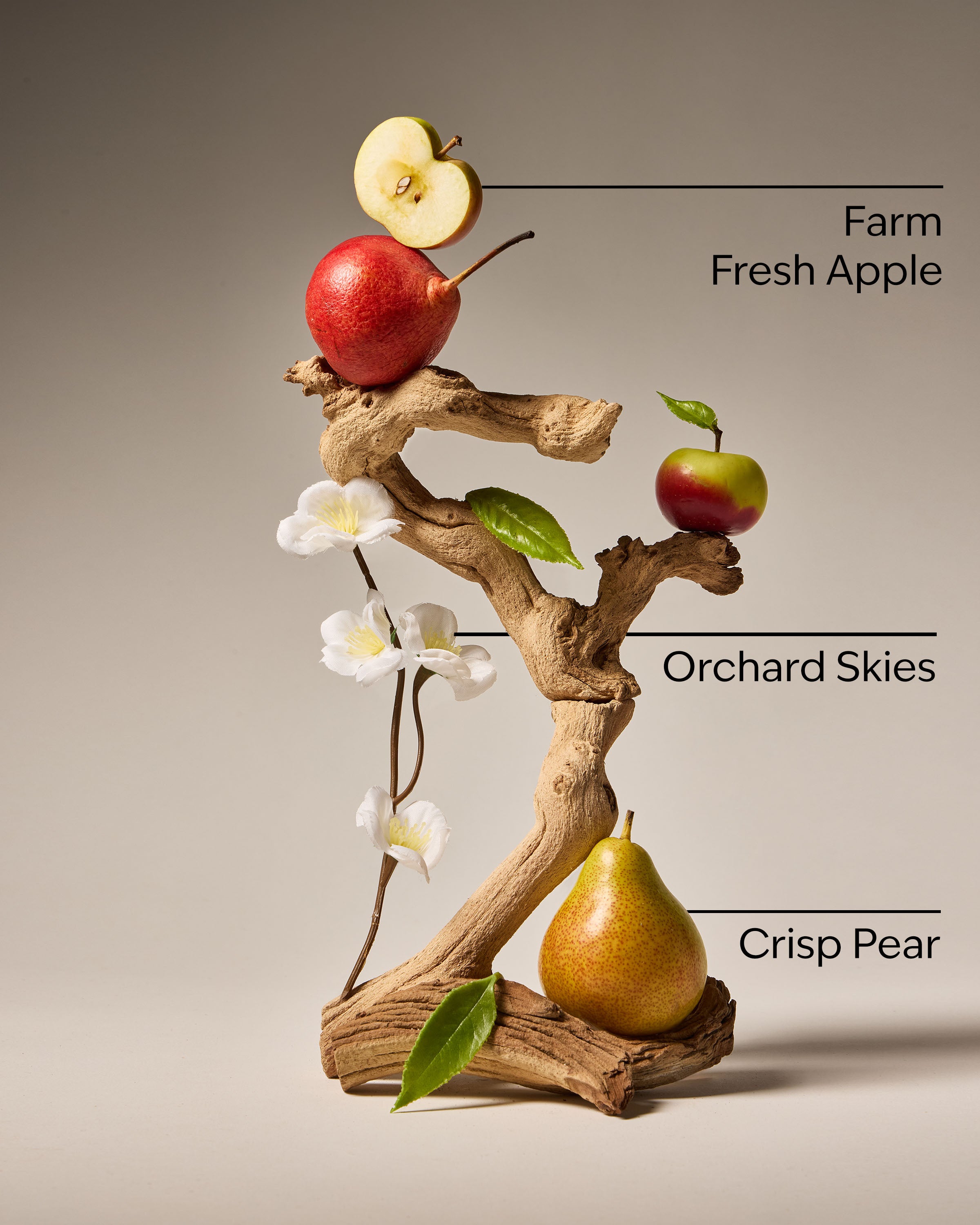 Sweet Apple Gentle & Clean Foaming Hand Soap