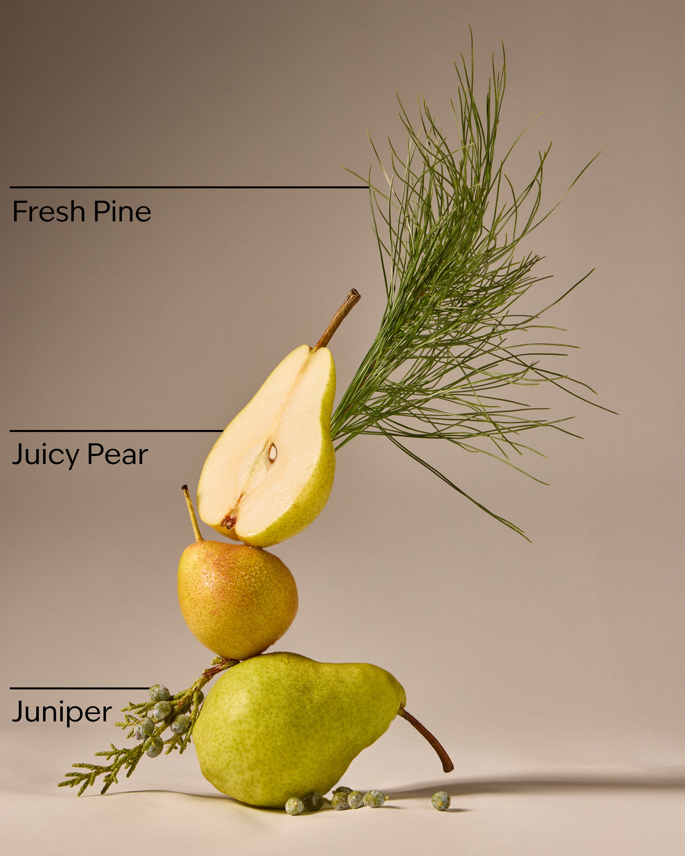 Crisp Morning Air Gentle & Clean Foaming Hand Soap