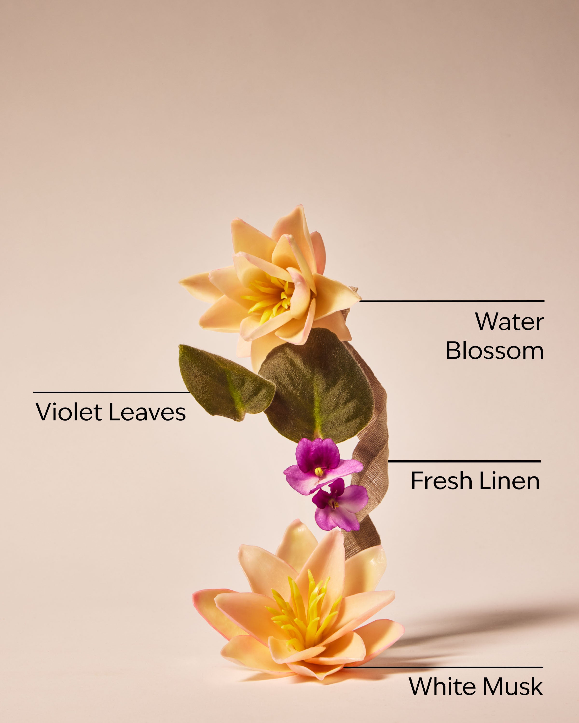 Saltwater Breeze Body Lotion