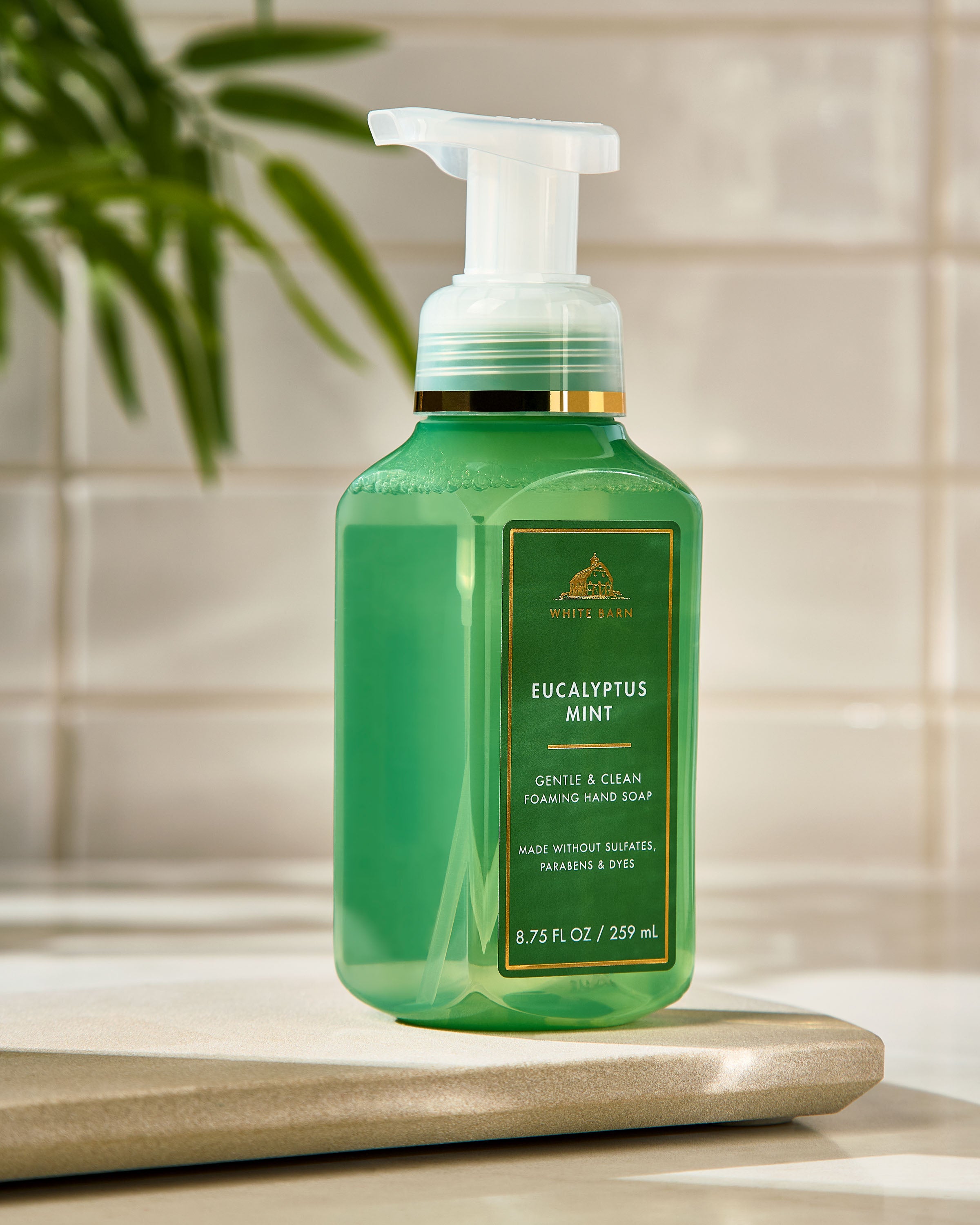 Eucalyptus Mint Gentle & Clean Foaming Hand Soap