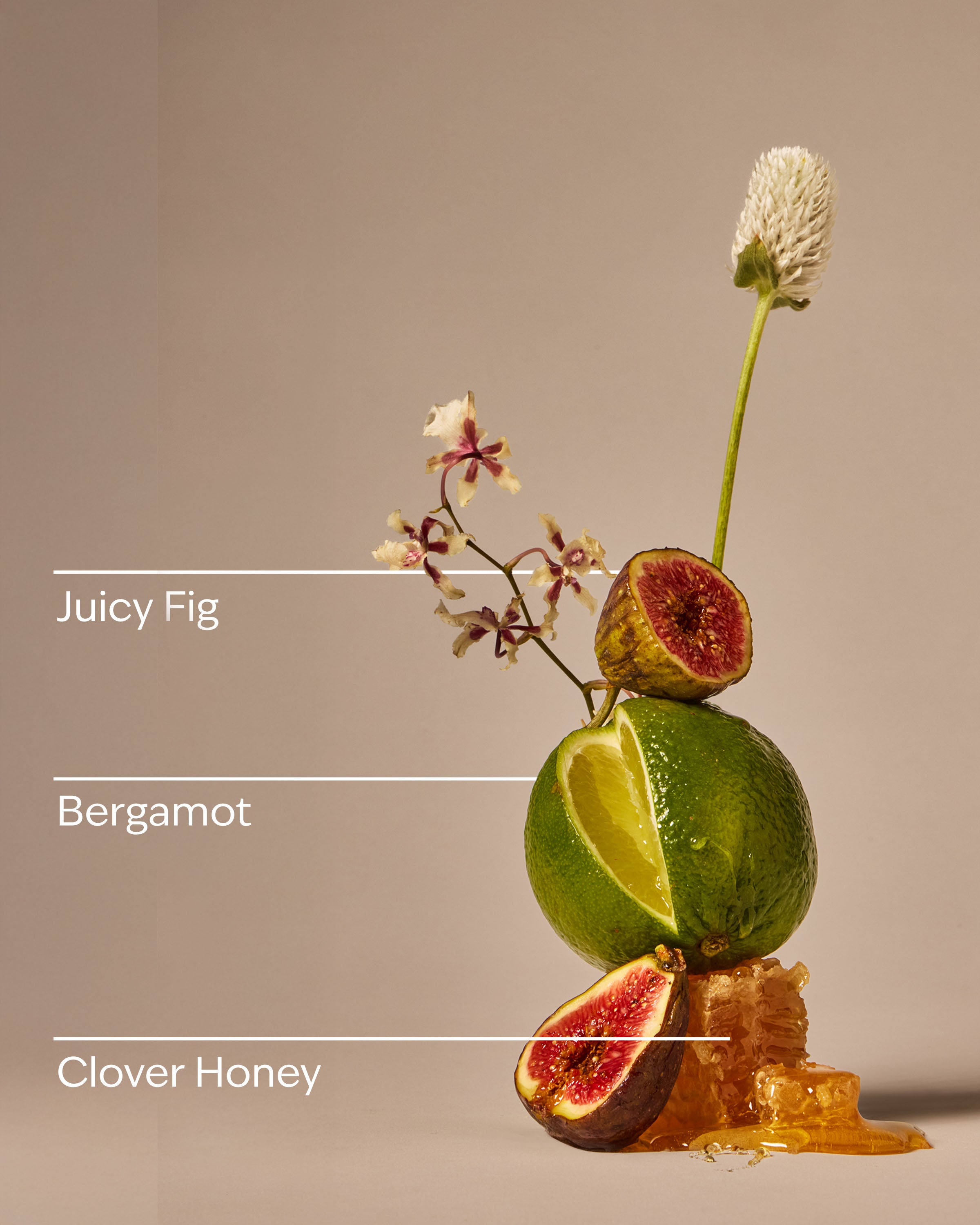 Wildflower Honey & Fig Cleansing Gel Hand Soap