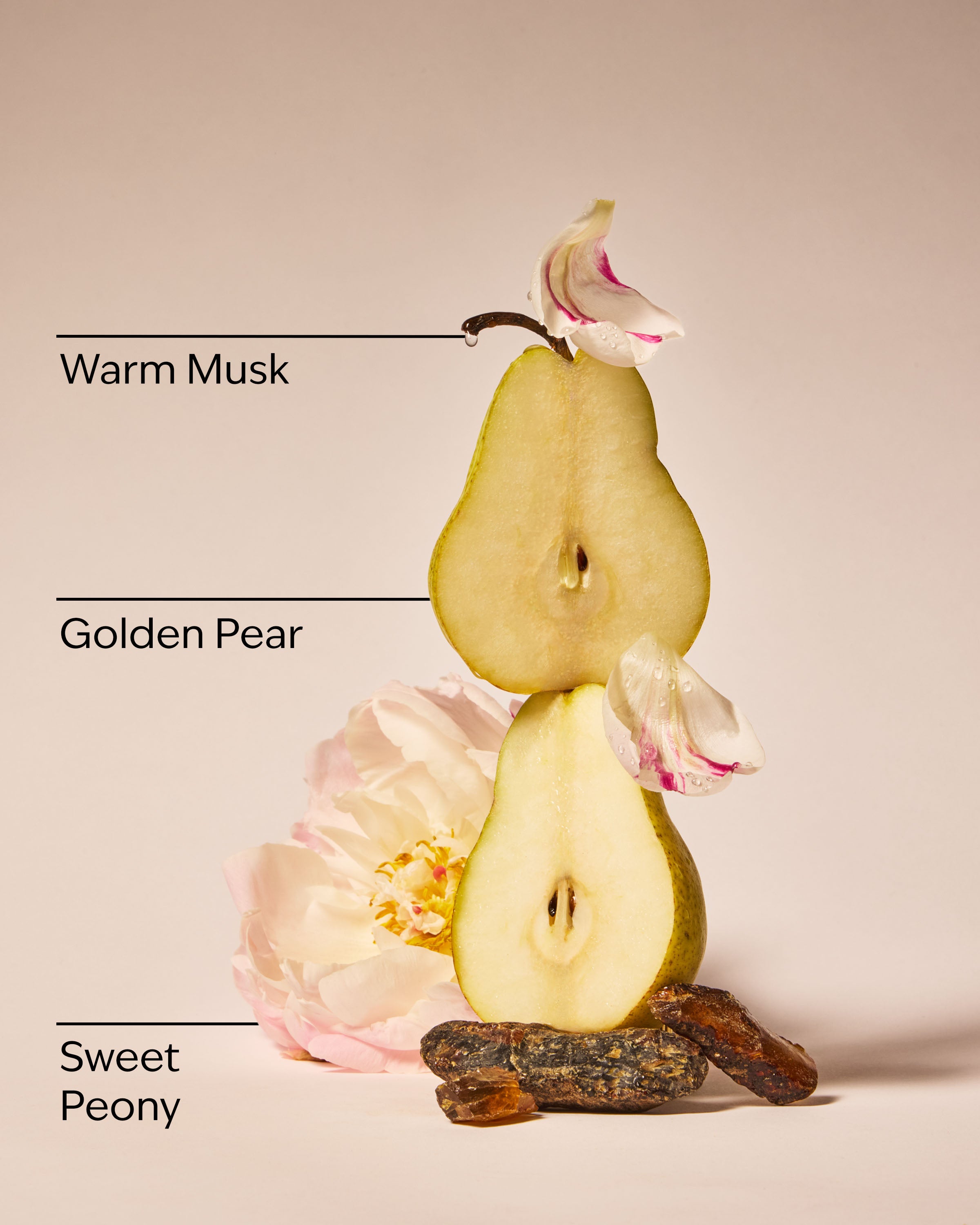 Blush Amber & Peony 3-Wick Candle