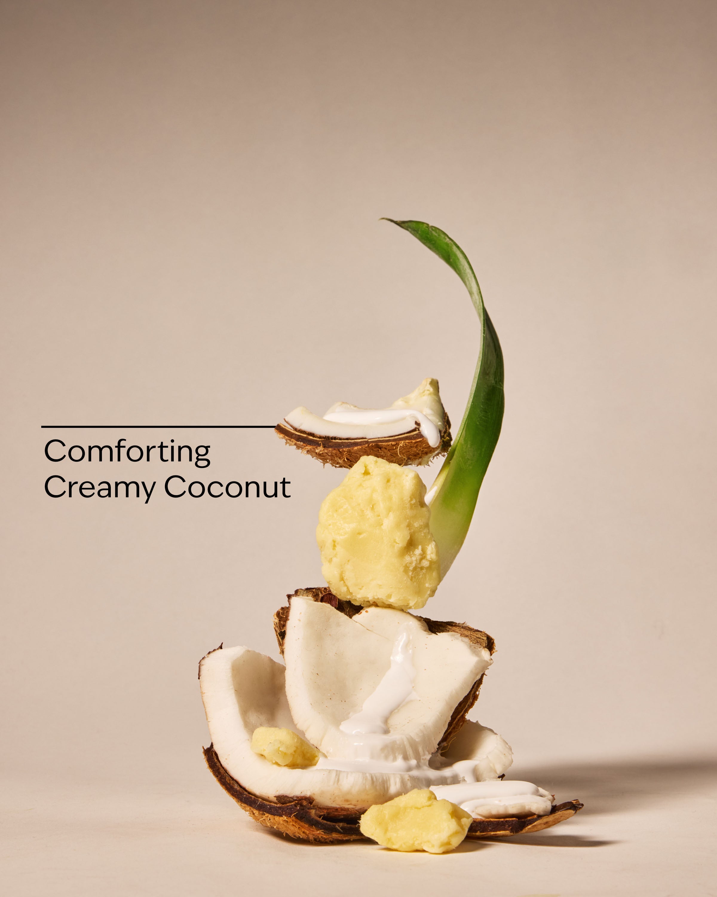 Coco Shea Rich Moisture Moisturizing Body Wash