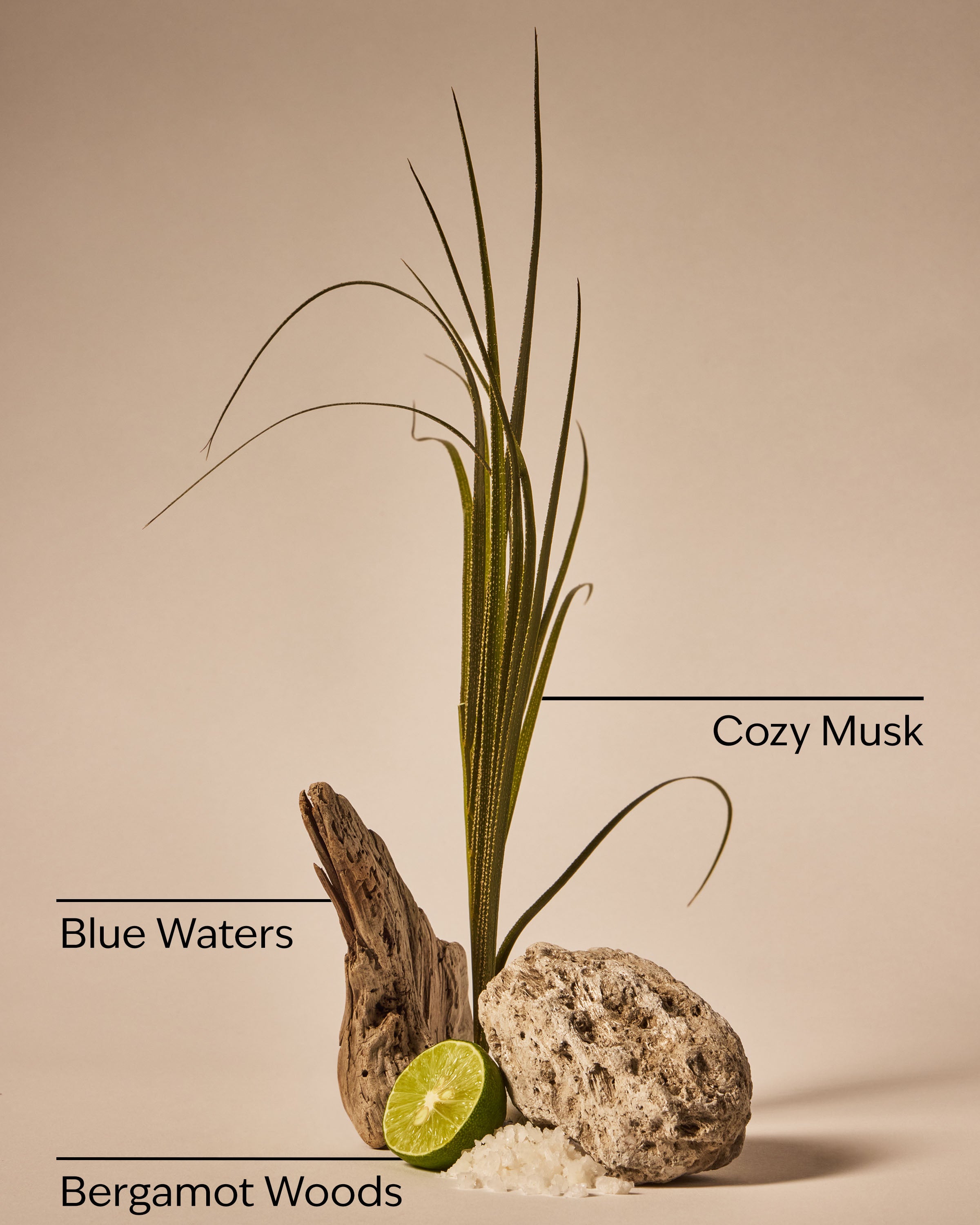 Bergamot & Musk Single Wick Candle