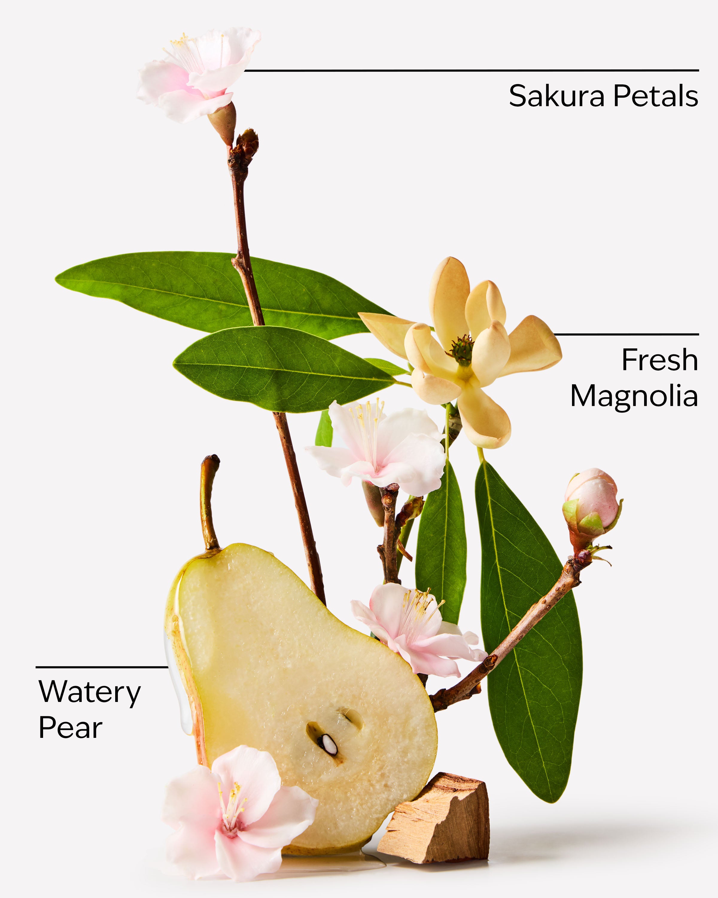 Forever Cherry Blossom Body Wash