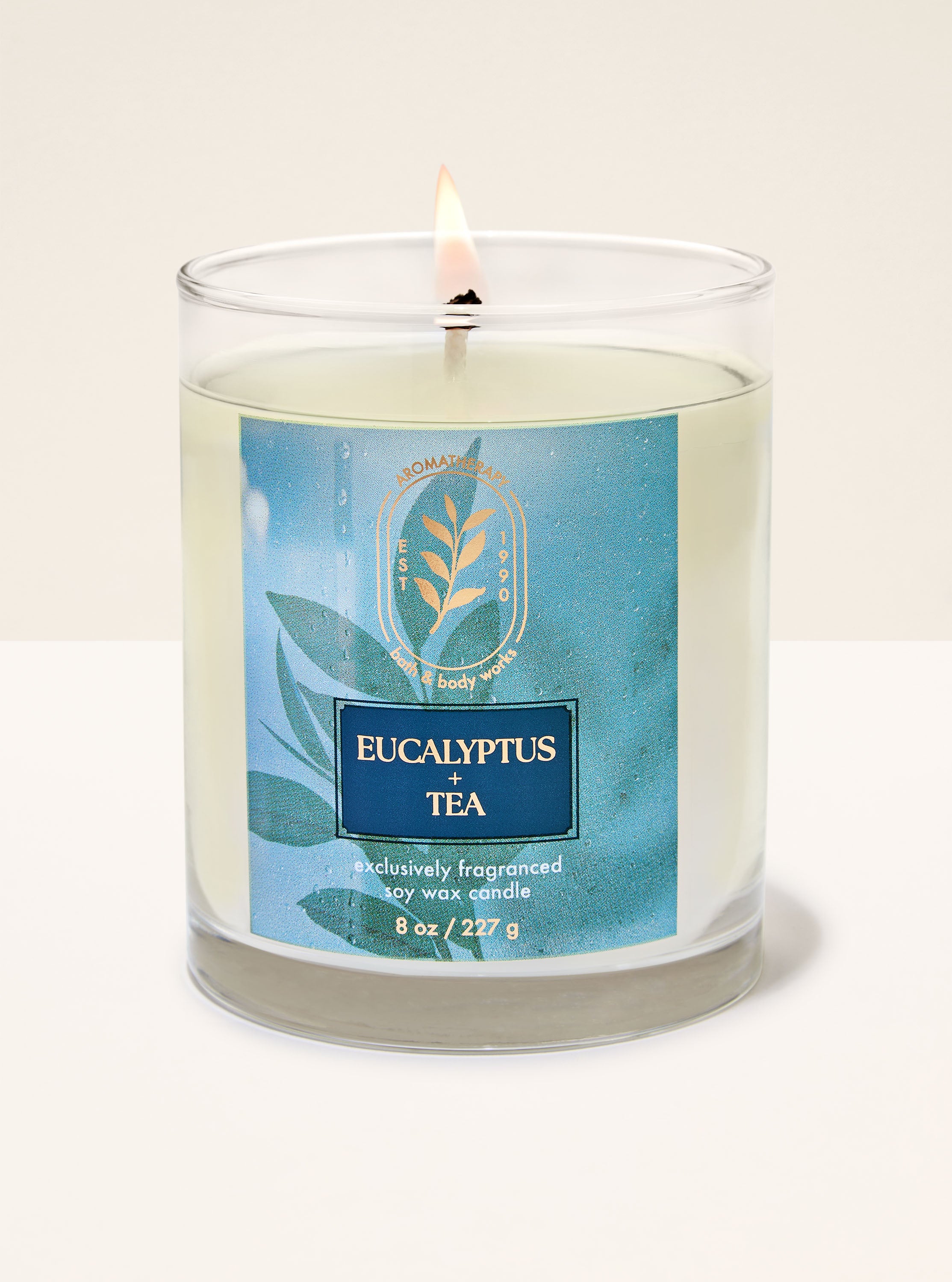 Eucalyptus Tea Single Wick Candle