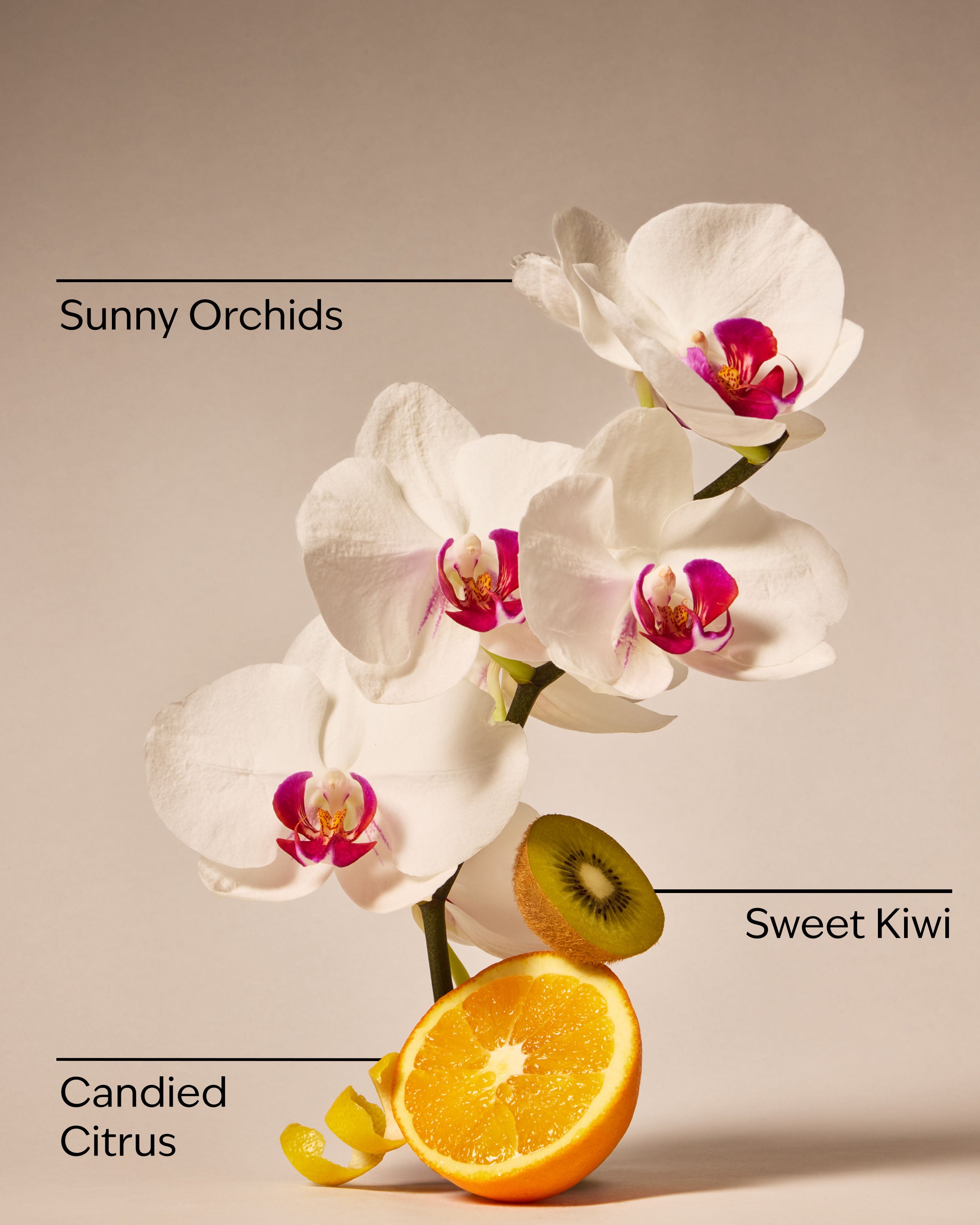 Pink Kiwi Berry PocketBac Hand Sanitizer