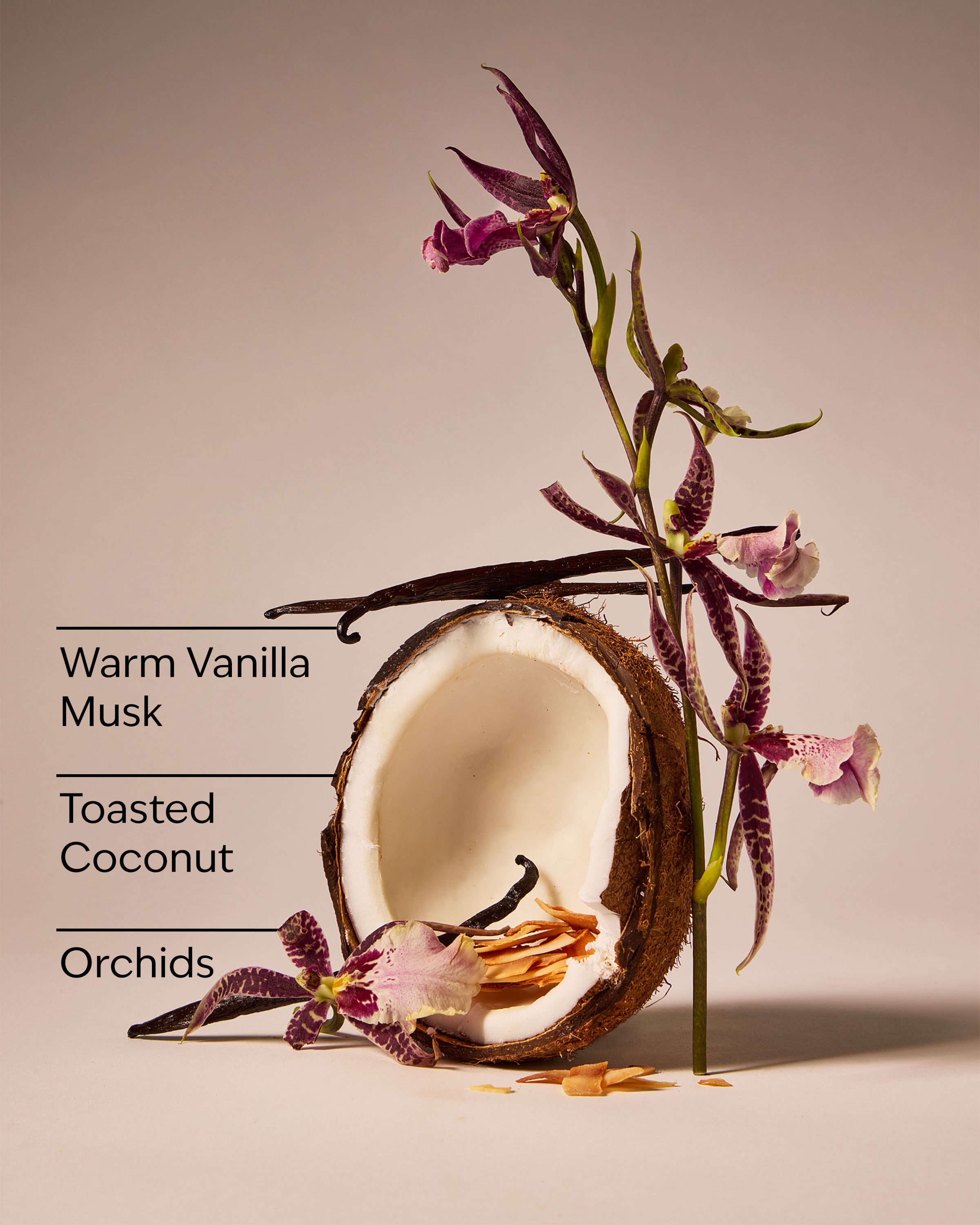 Tiki Beach Car Fragrance Refill