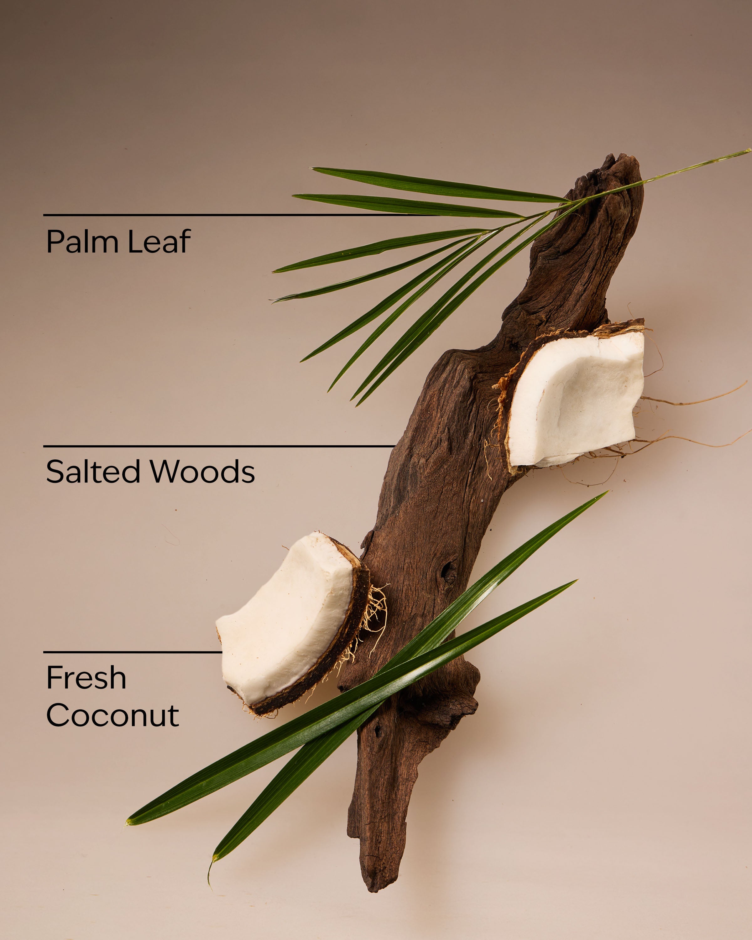 Coconut Nectar Travel Size Fine Fragrance Mist