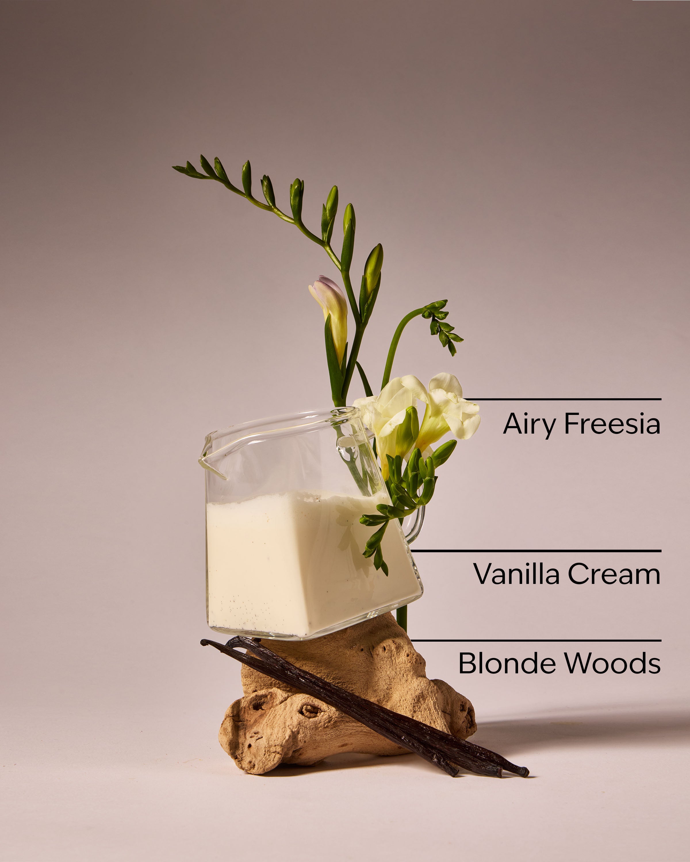 Vanilla Cloud 3-Wick Candle