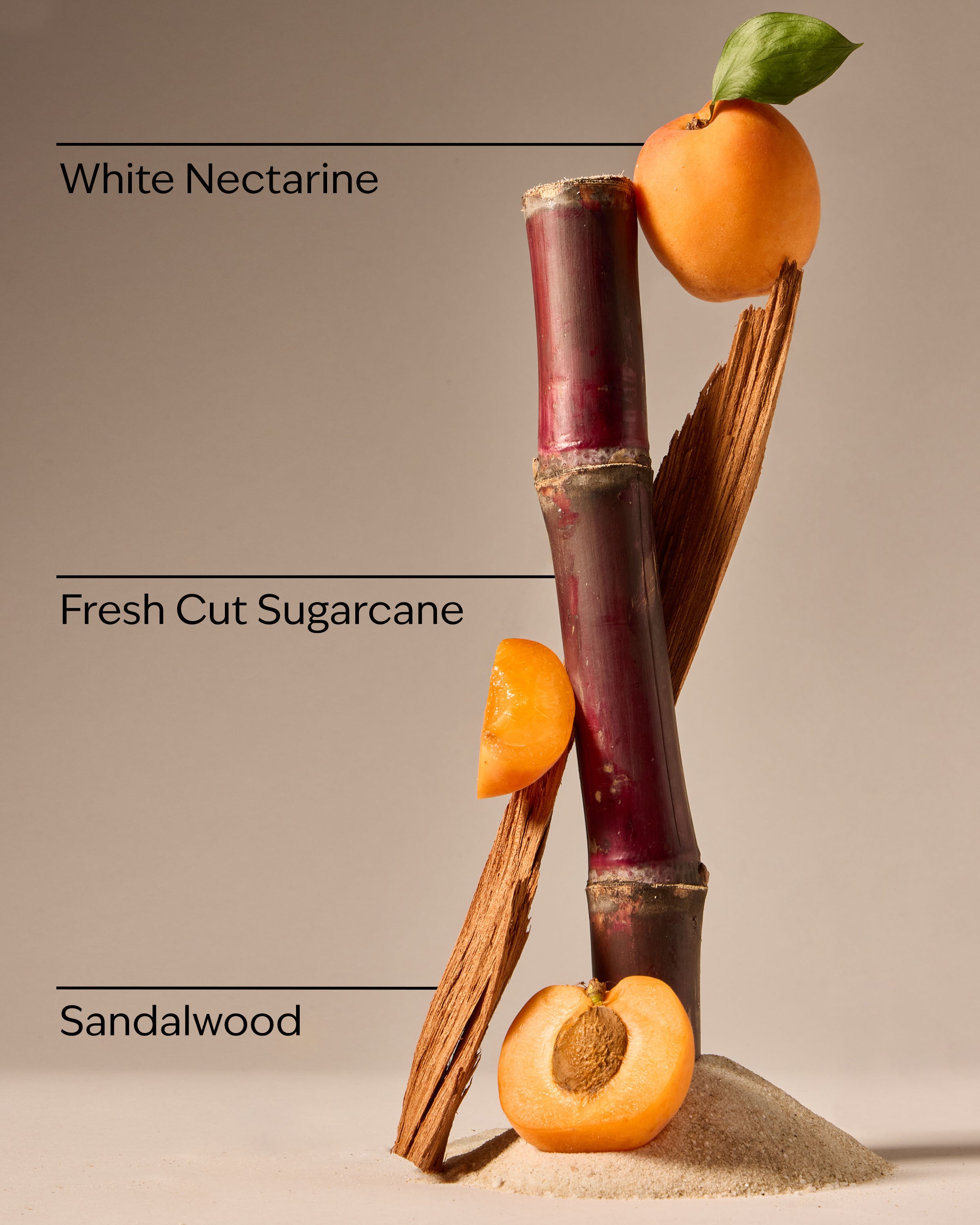 Fiji White Sands Wallflowers Fragrance Refill