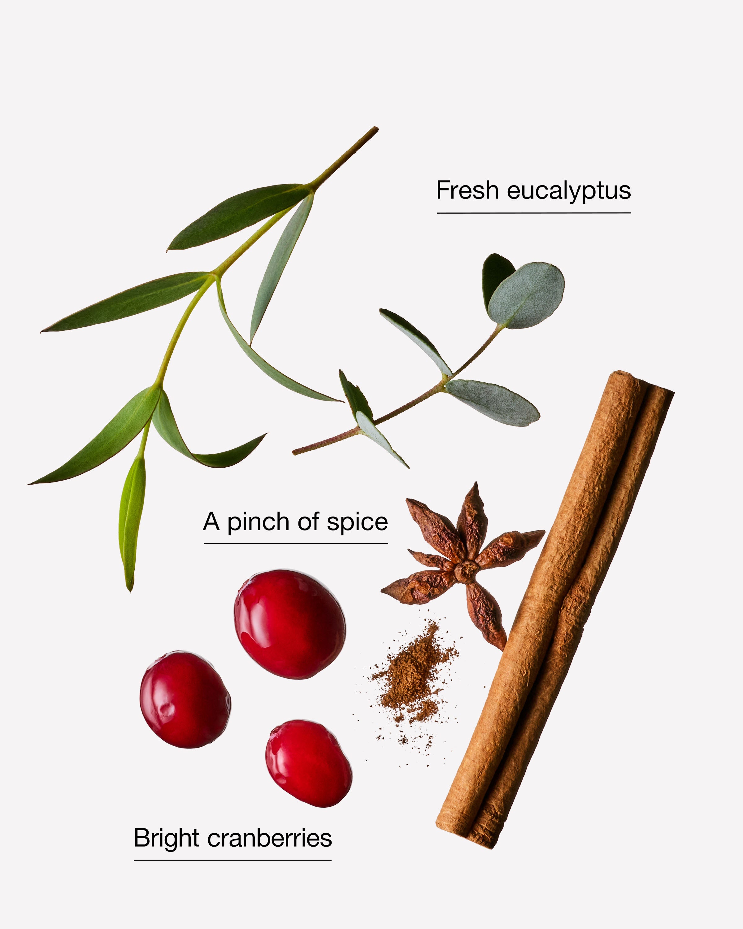 Cranberry & Eucalyptus Wallflowers Fragrance Refill