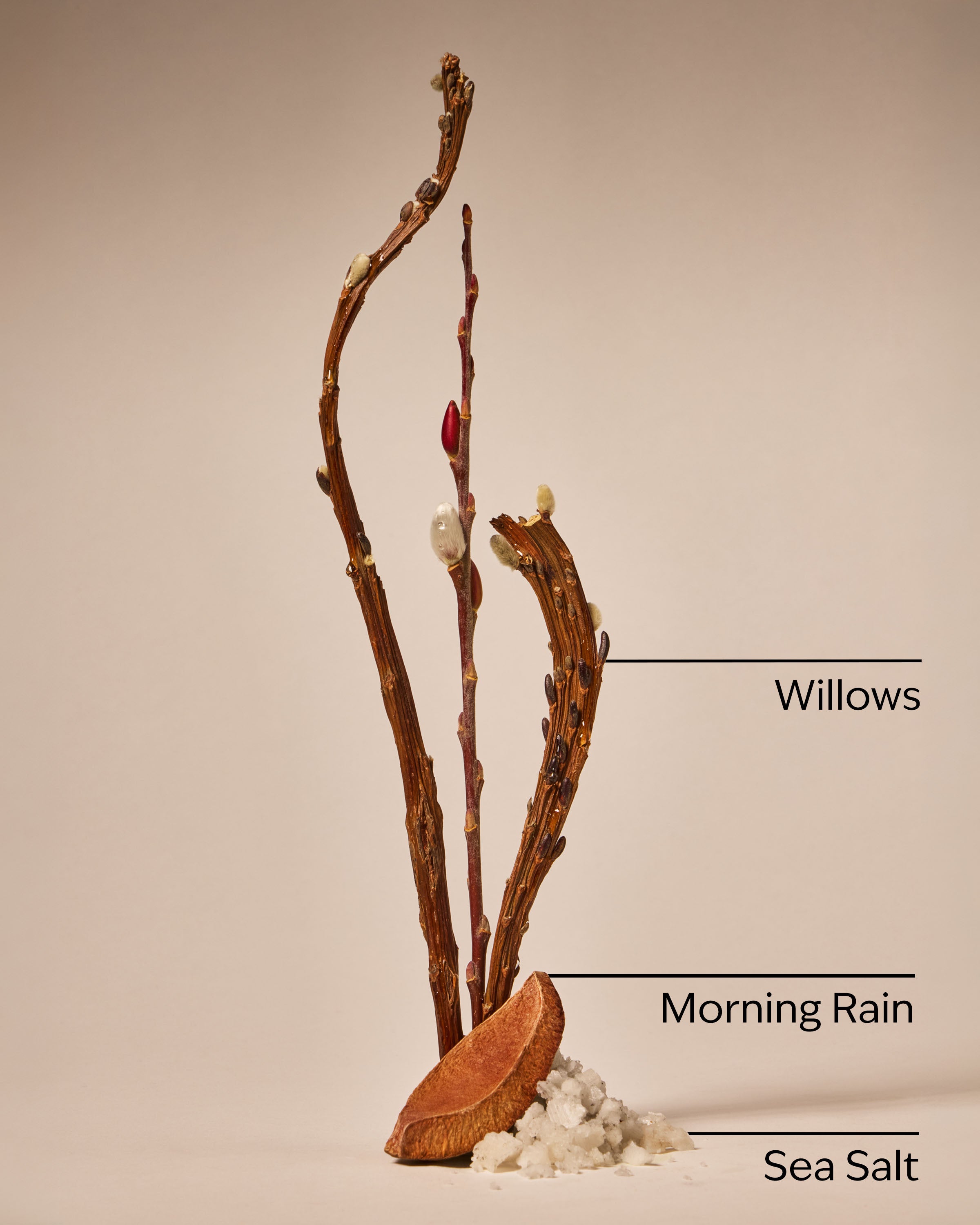 Rainfall Cleansing Gel Hand Soap