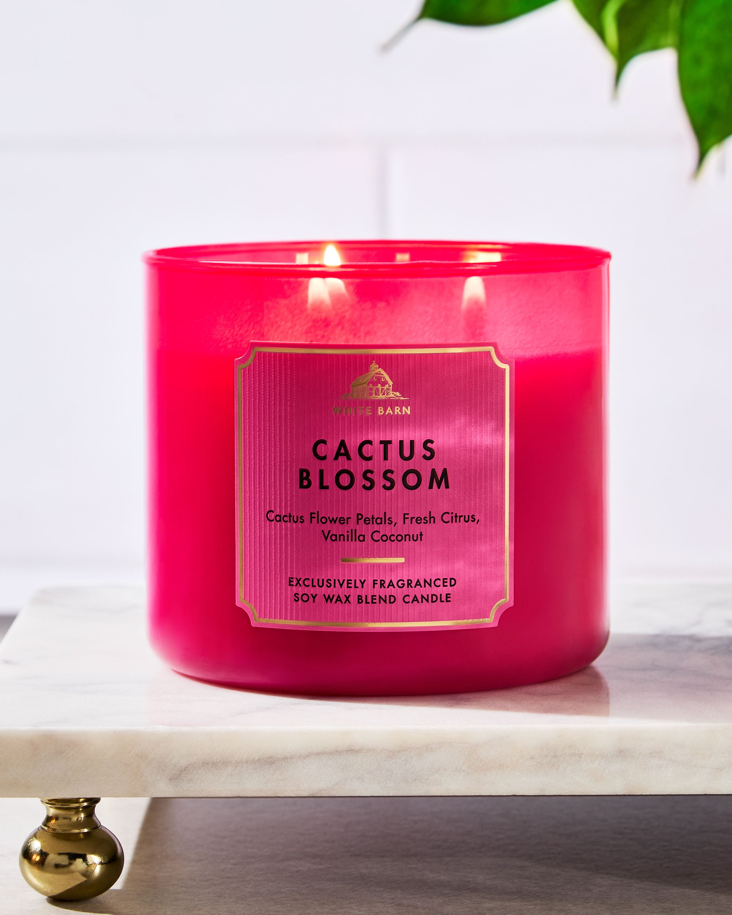 Cactus Blossom 3-Wick Candle