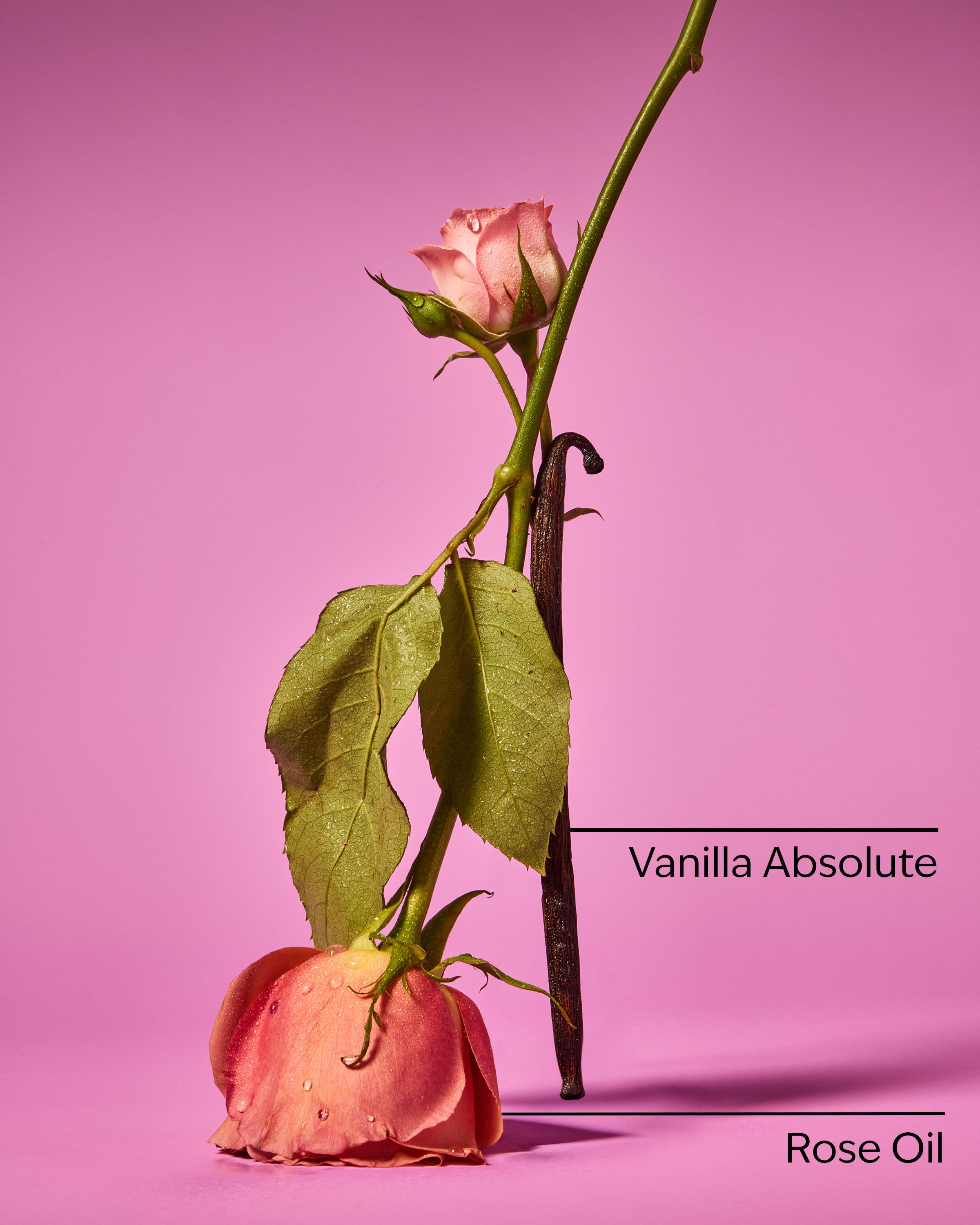 Rose Vanilla Essential Oil Mist