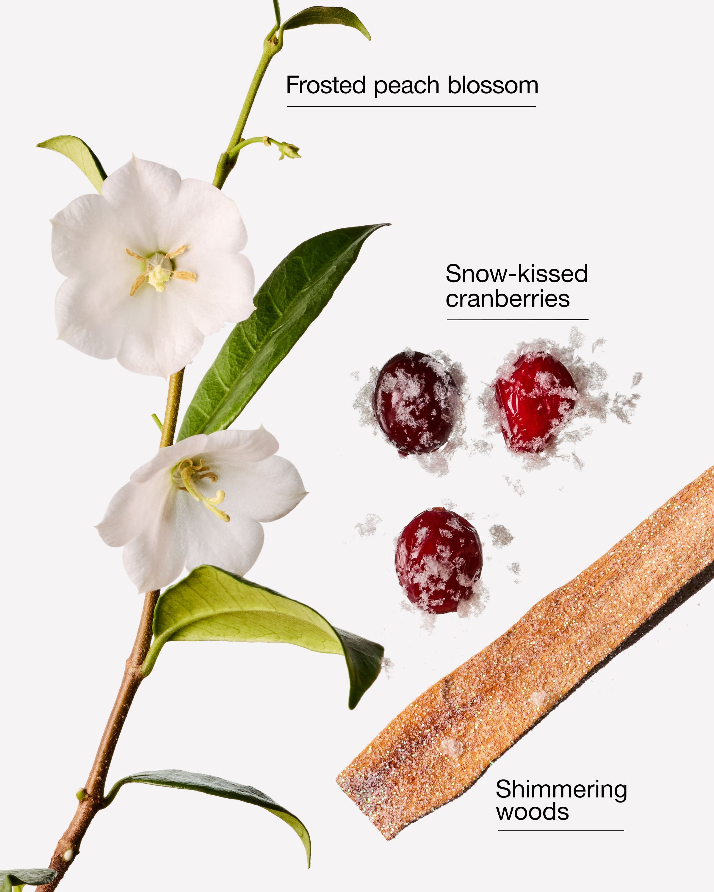 Snowy Peach Berry PocketBac Hand Sanitizer