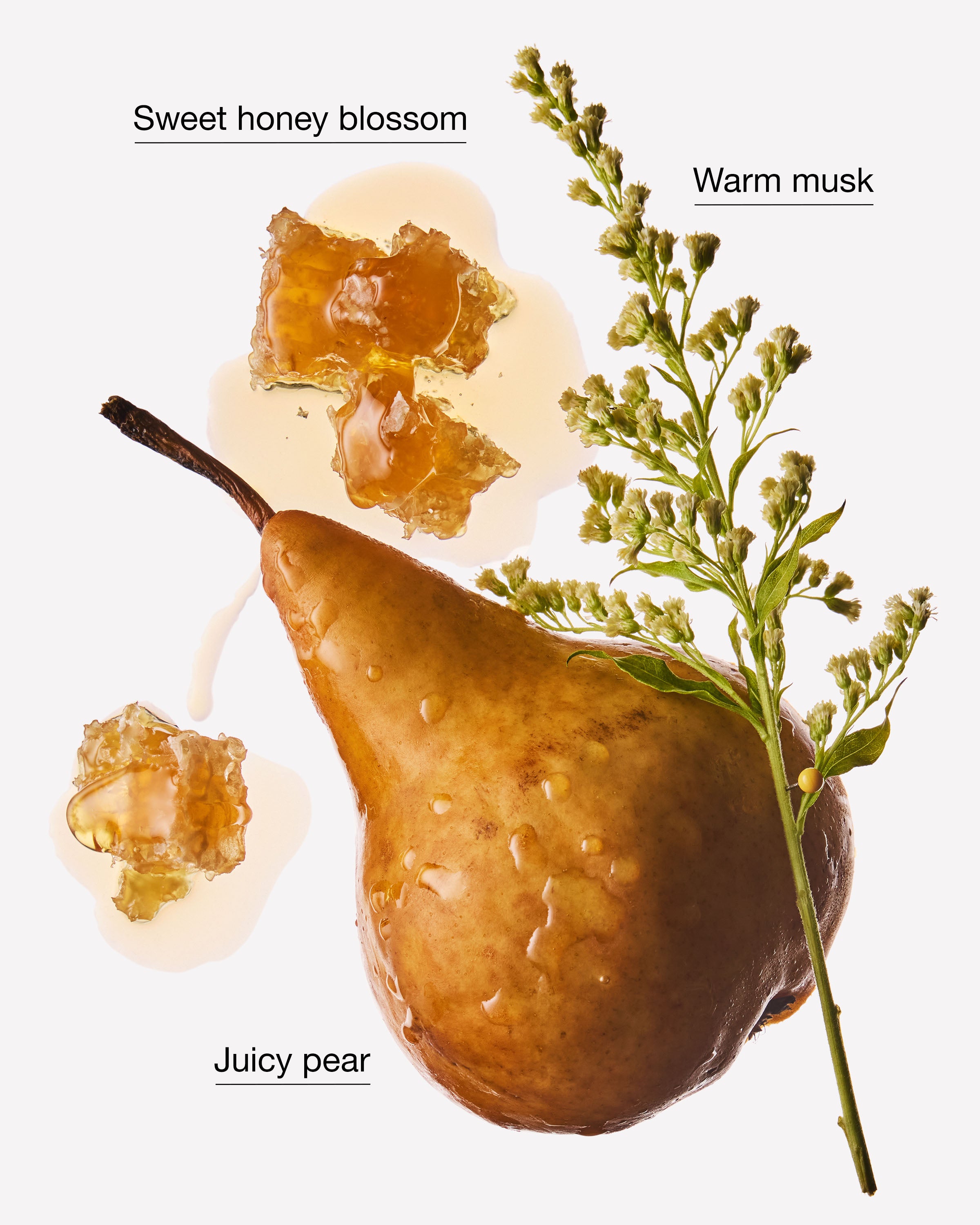 Golden Pear & Honey Wallflowers Fragrance Refill