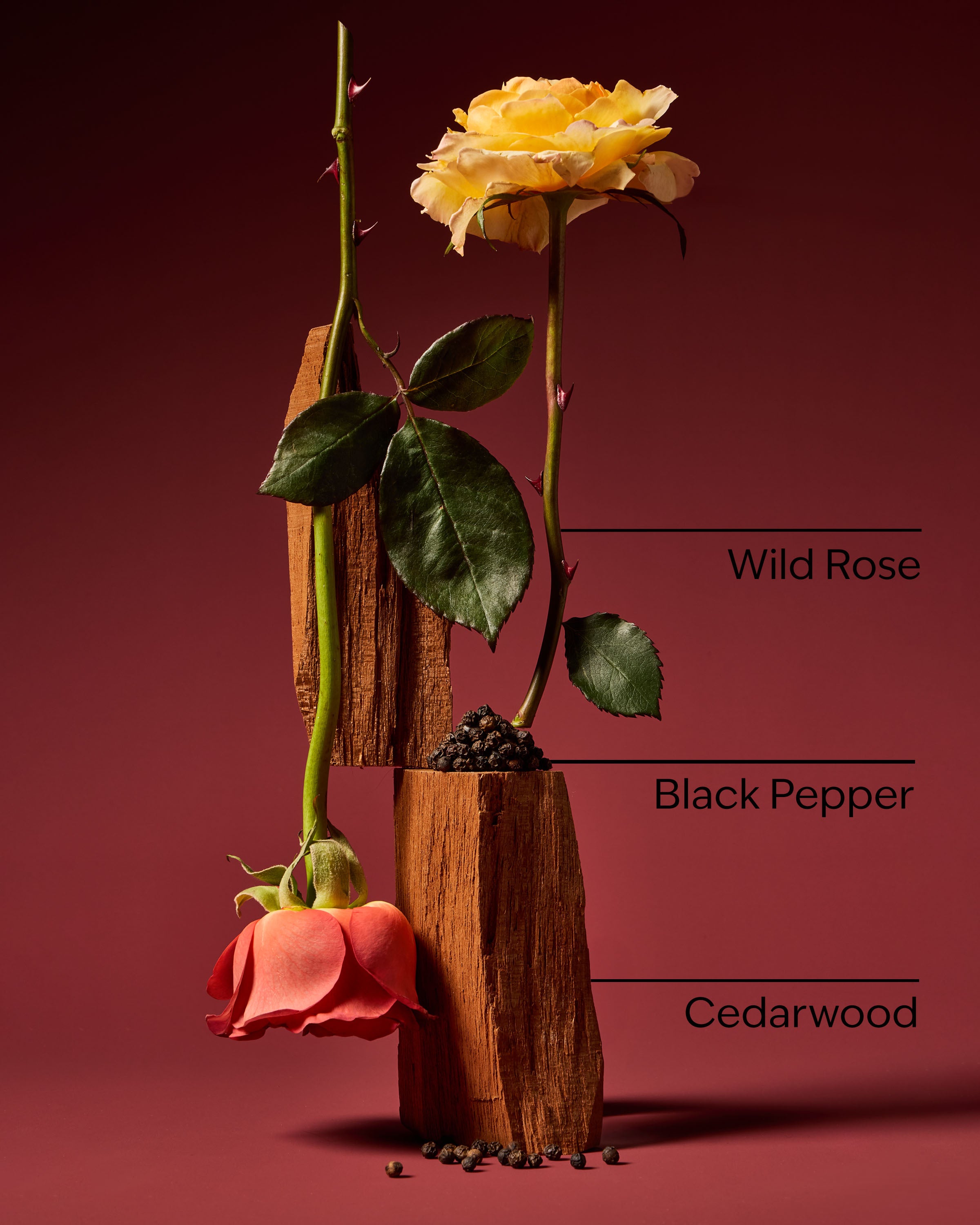 Nocturnal Rose Concentrated Room Spray