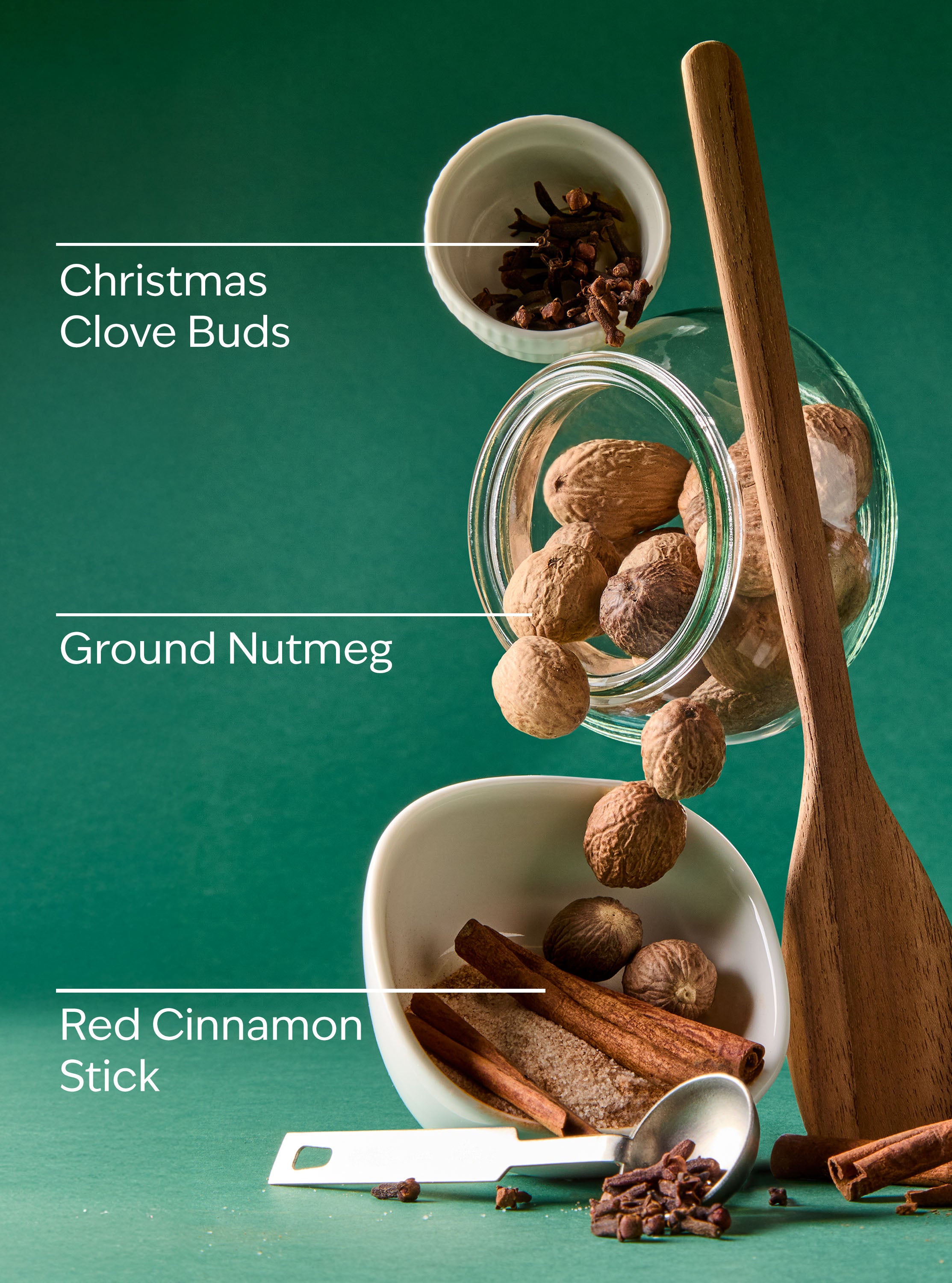 Holiday Hanging Fragrance Diffuser