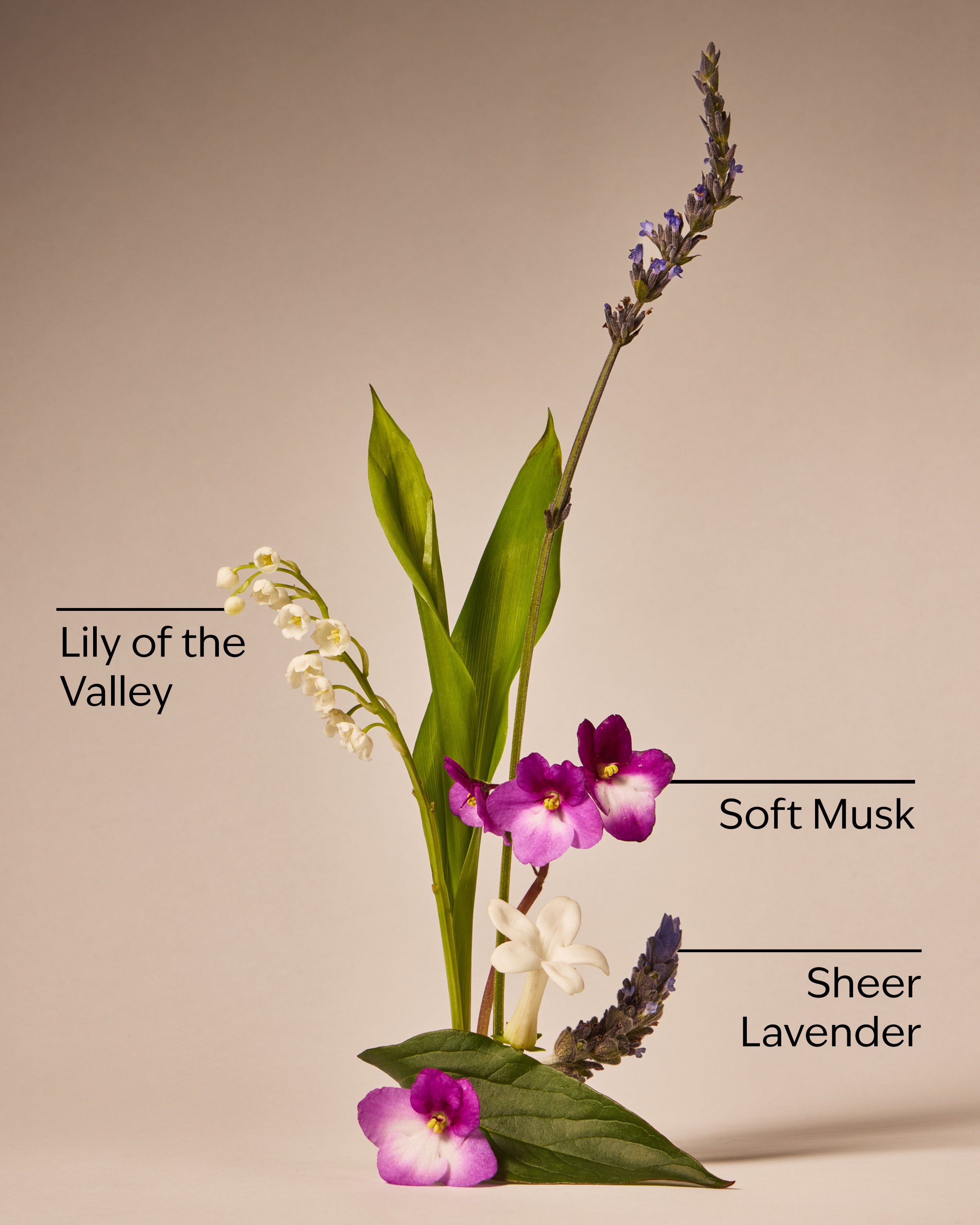 Moonlight Path Body Wash