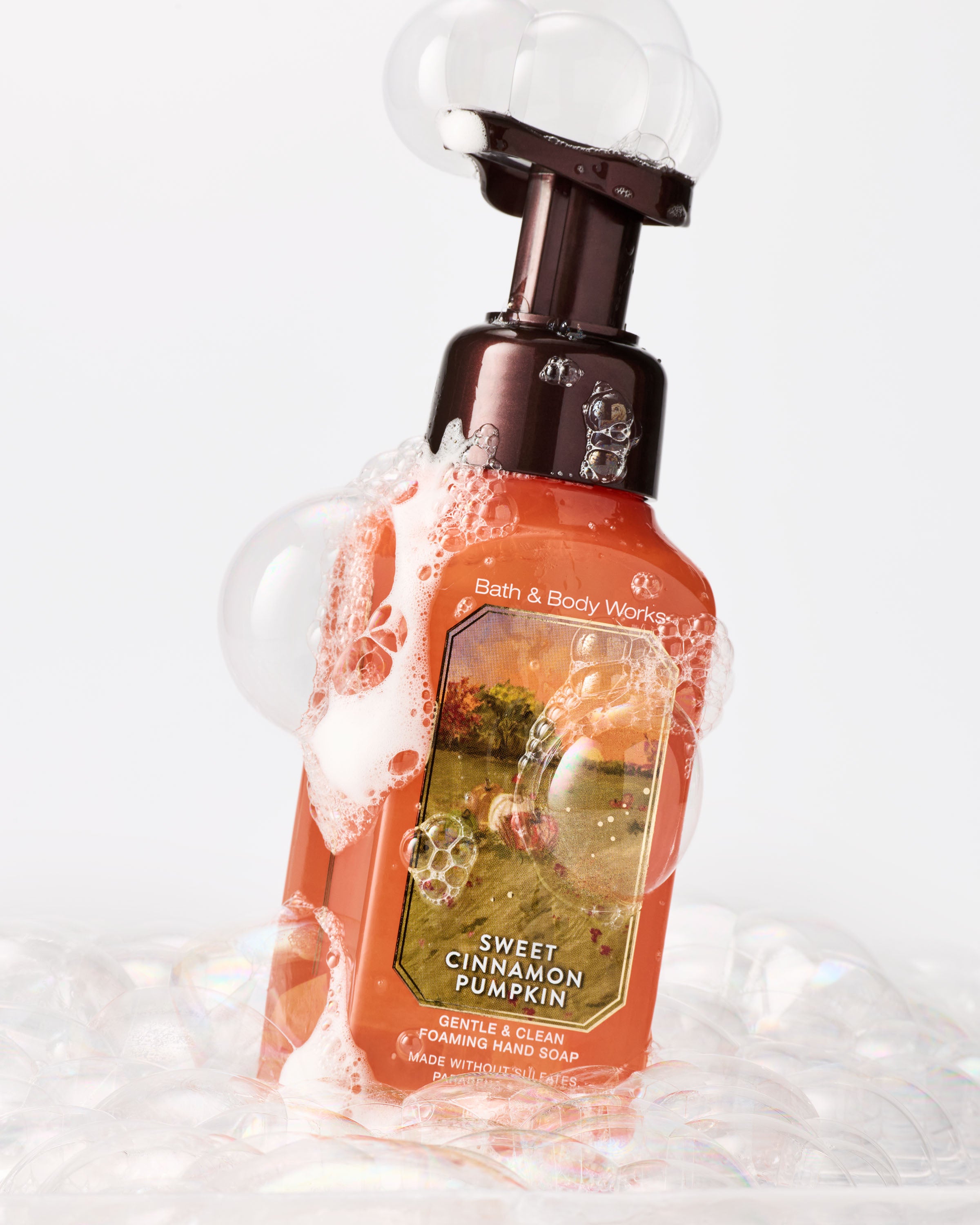 Sweet Cinnamon Pumpkin Gentle & Clean Foaming Hand Soap