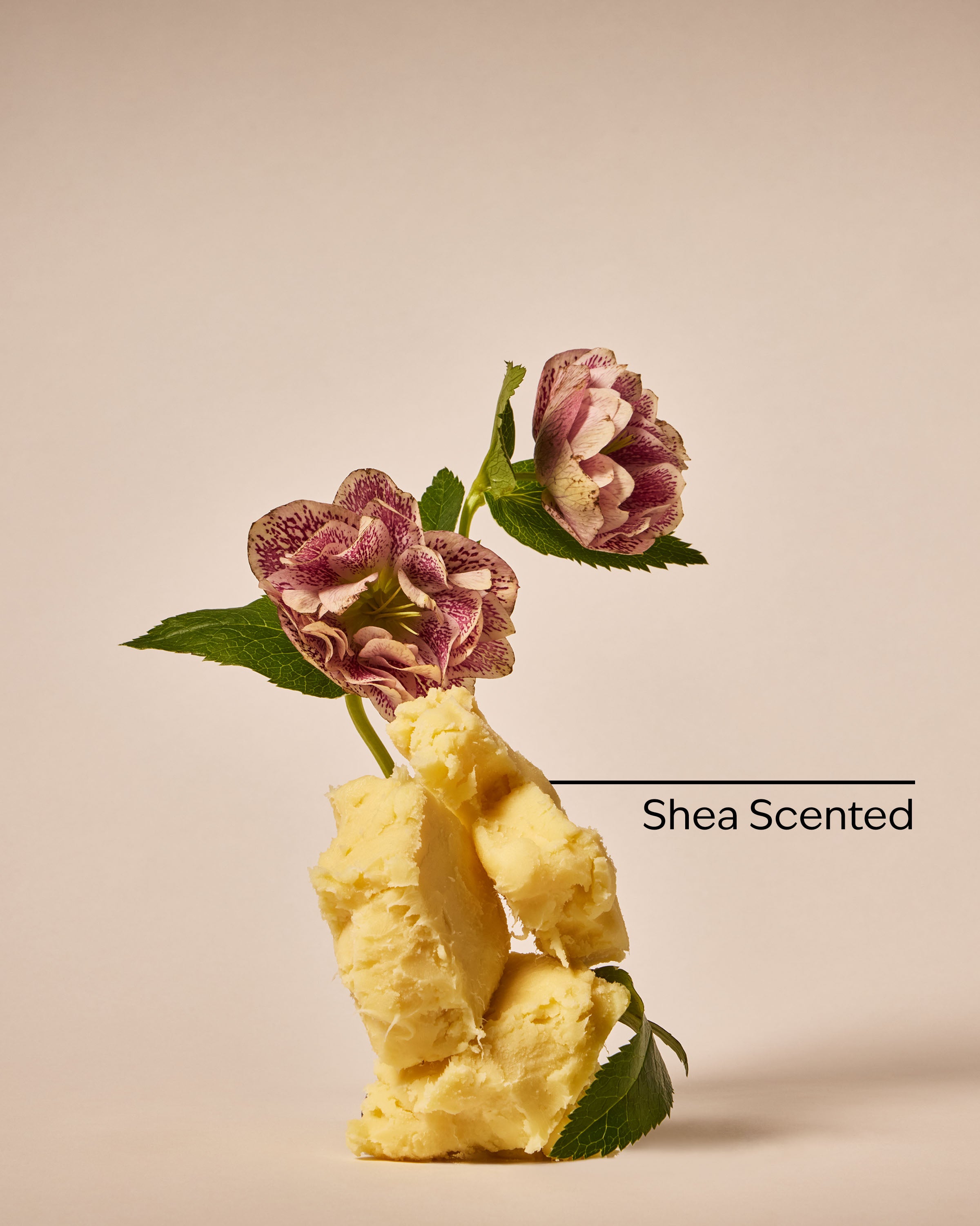 True Blue Spa Travel Size Super Rich Body Cream