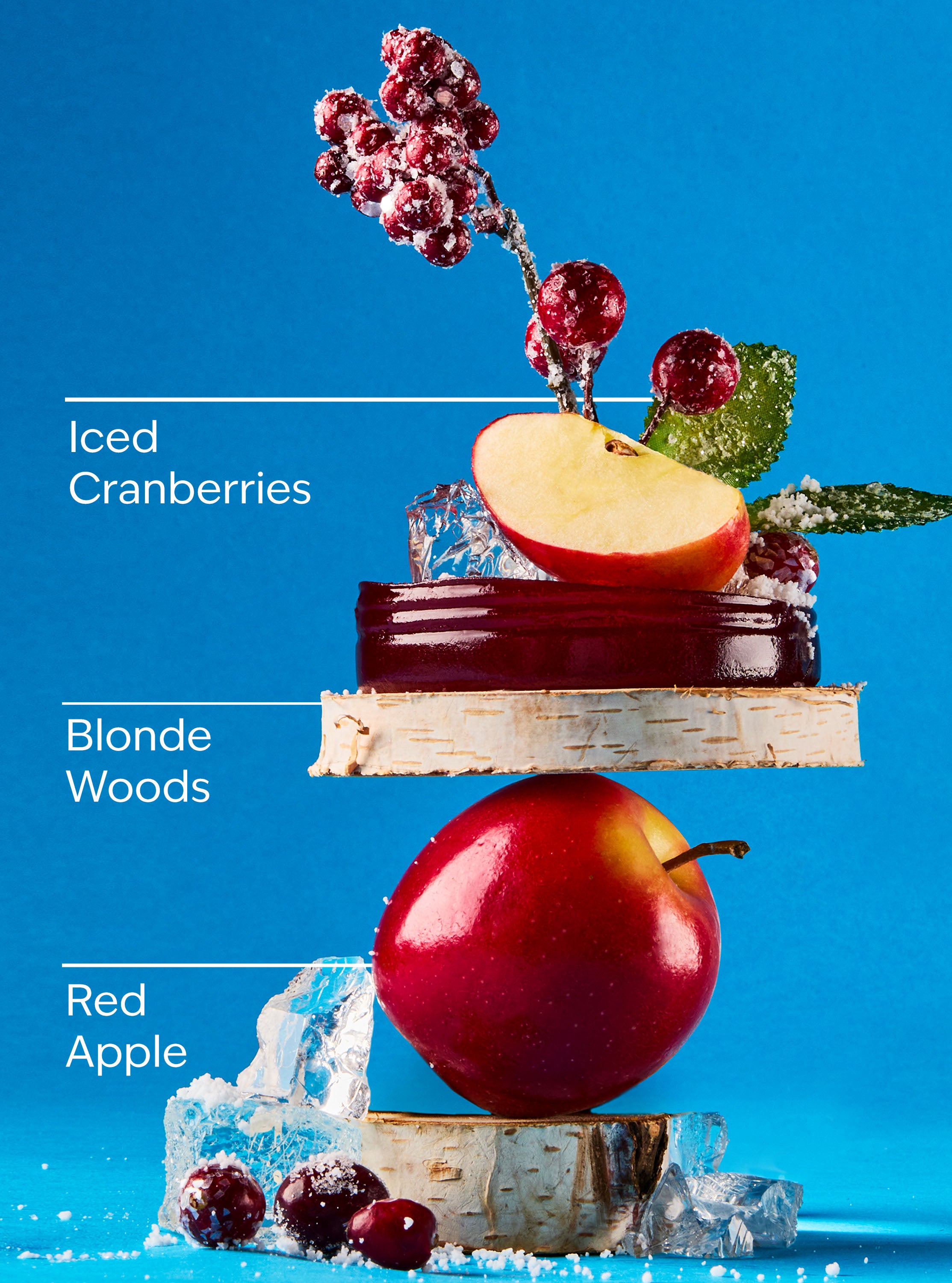 Frosted Cranberry Single Wick Candle