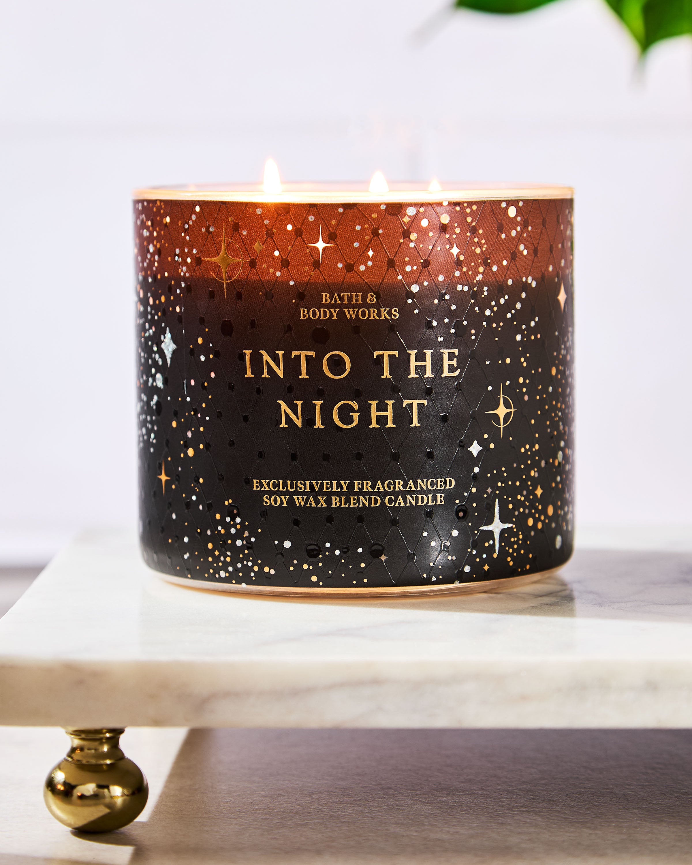 Into the Night 3-Wick Candle