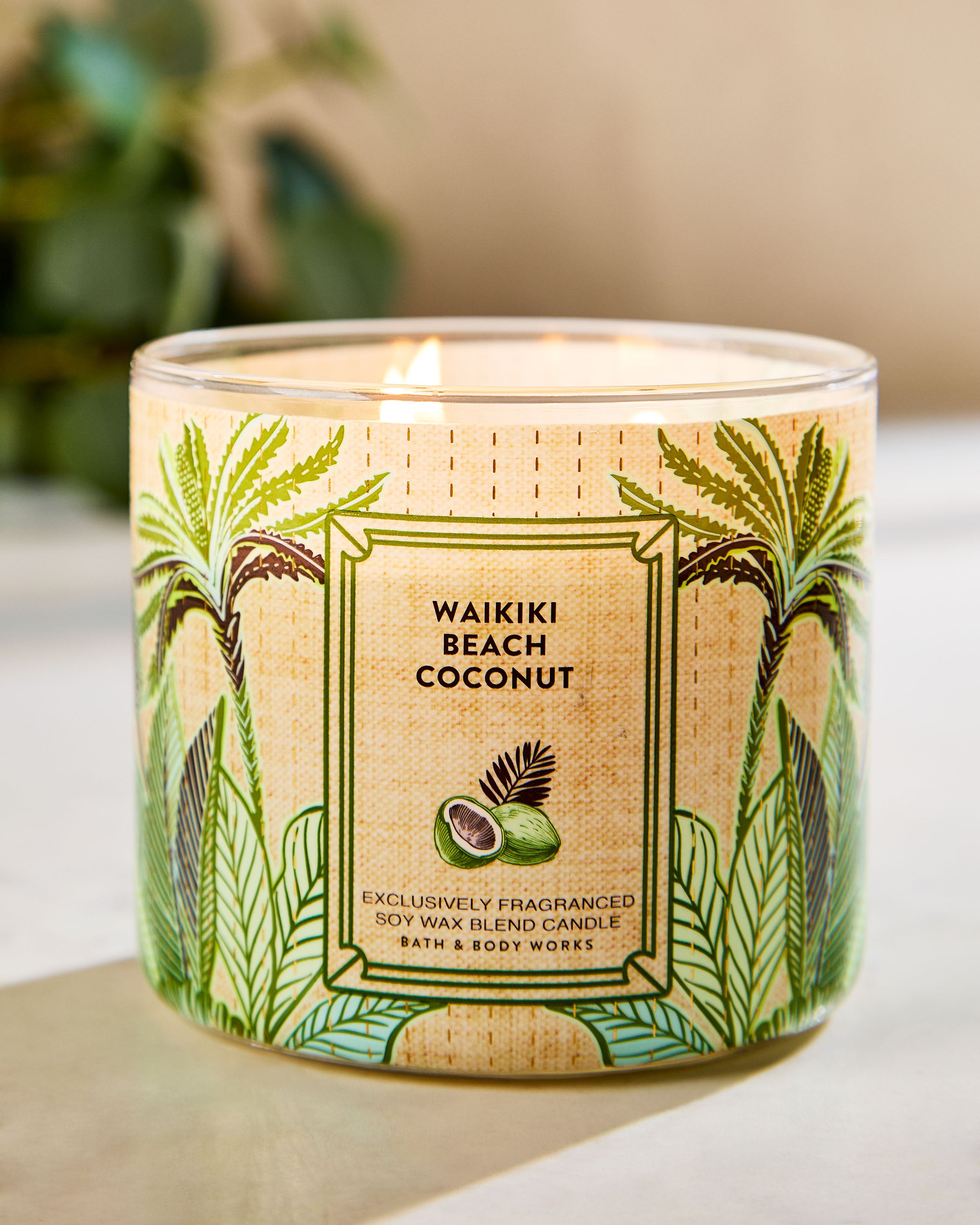Waikiki Beach Coconut 3-Wick Candle