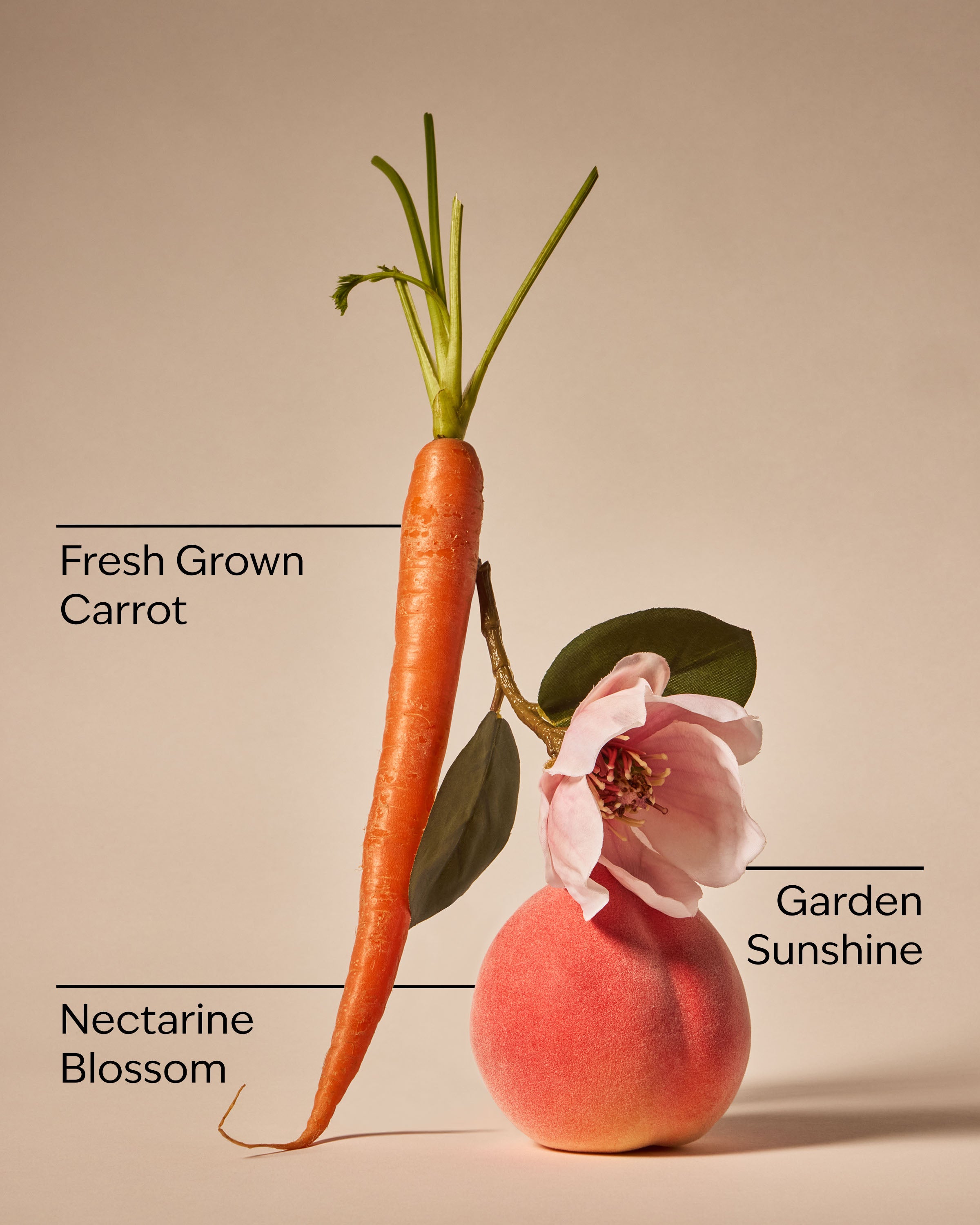 Carrot & Nectarine 3-Wick Candle