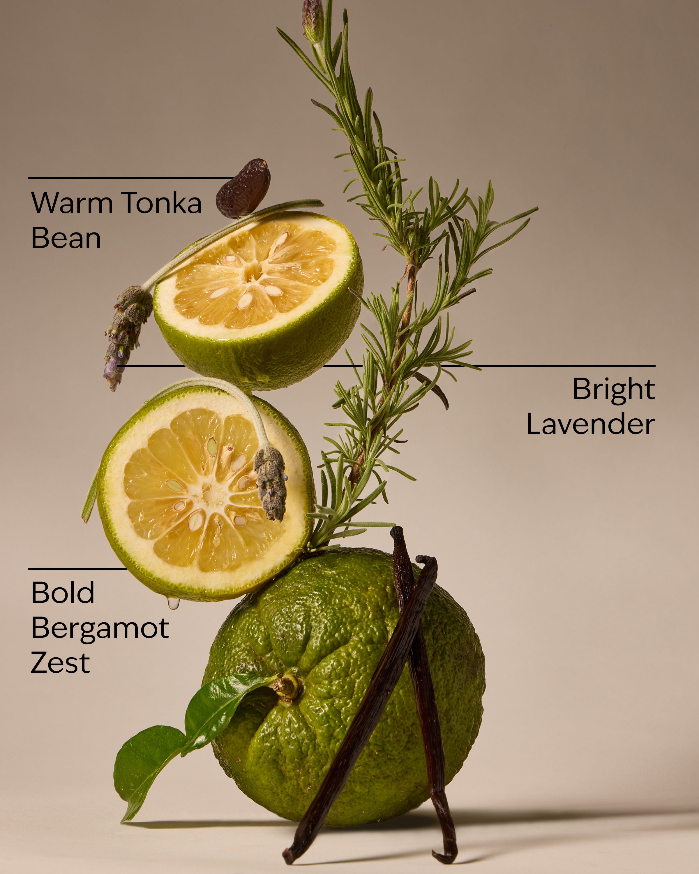 Lavender Bergamot 3-Wick Candle