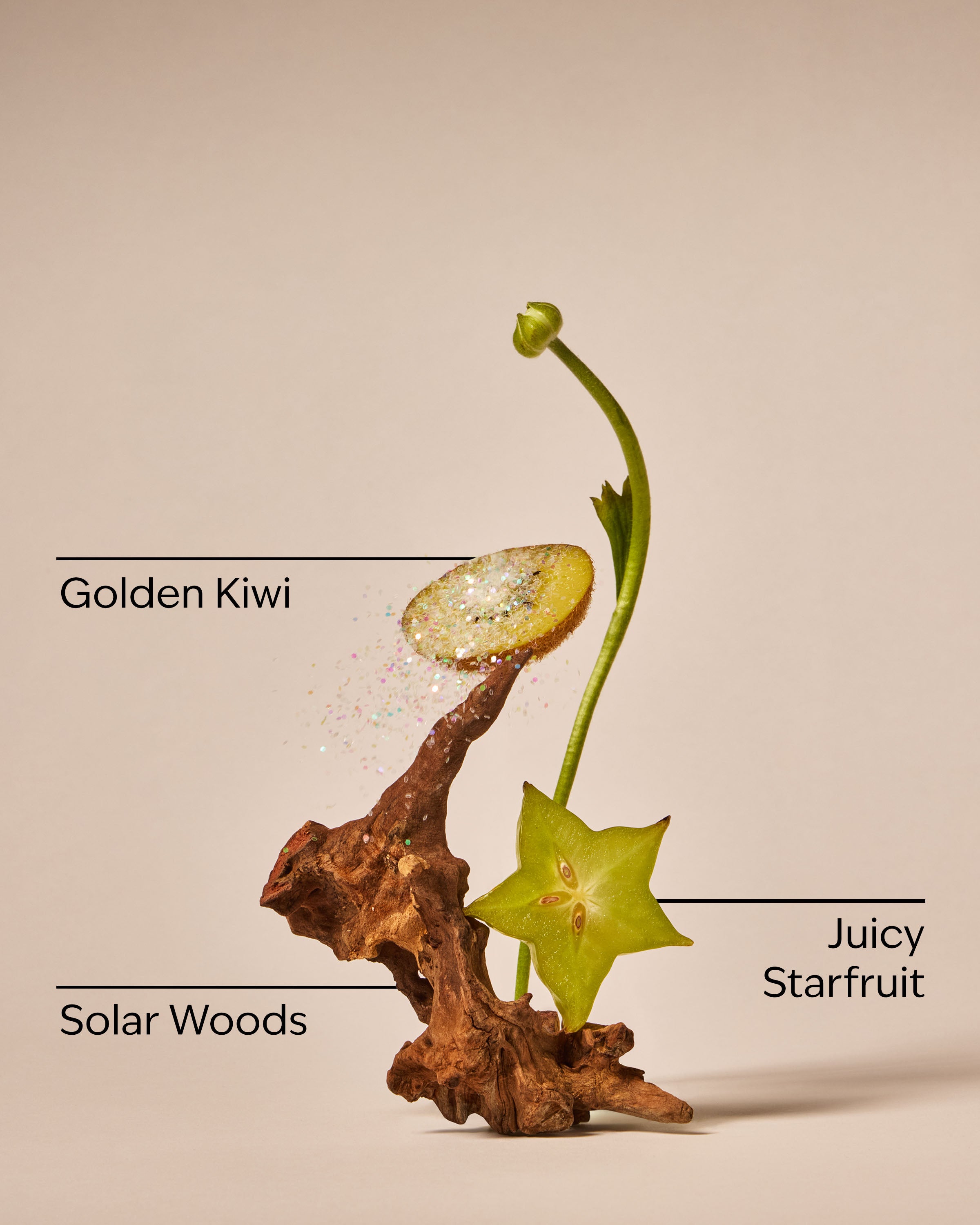 Sweet Kiwi & Starfruit Wallflowers Refills 2-Pack