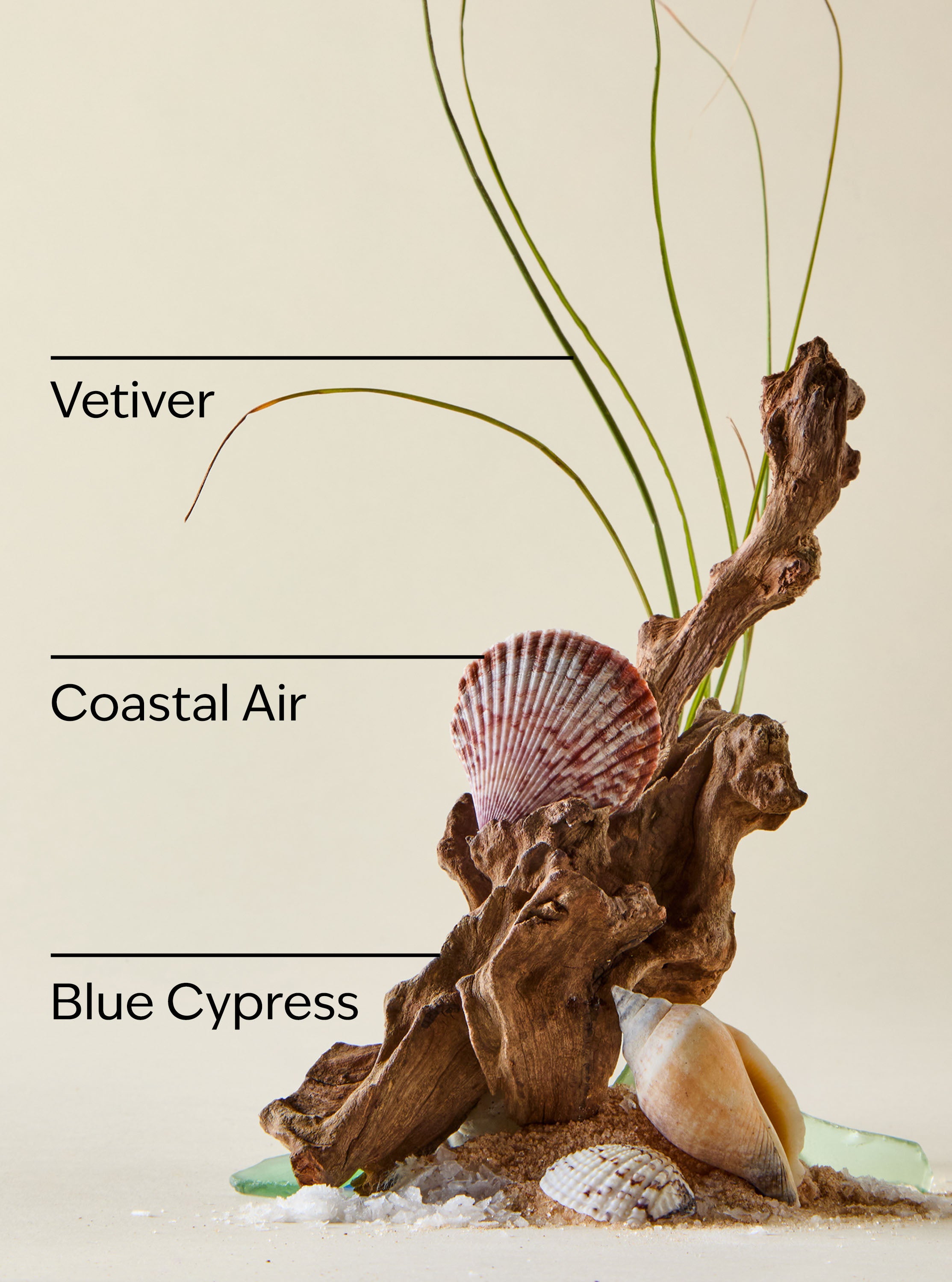 Ocean Concentrated Room Spray