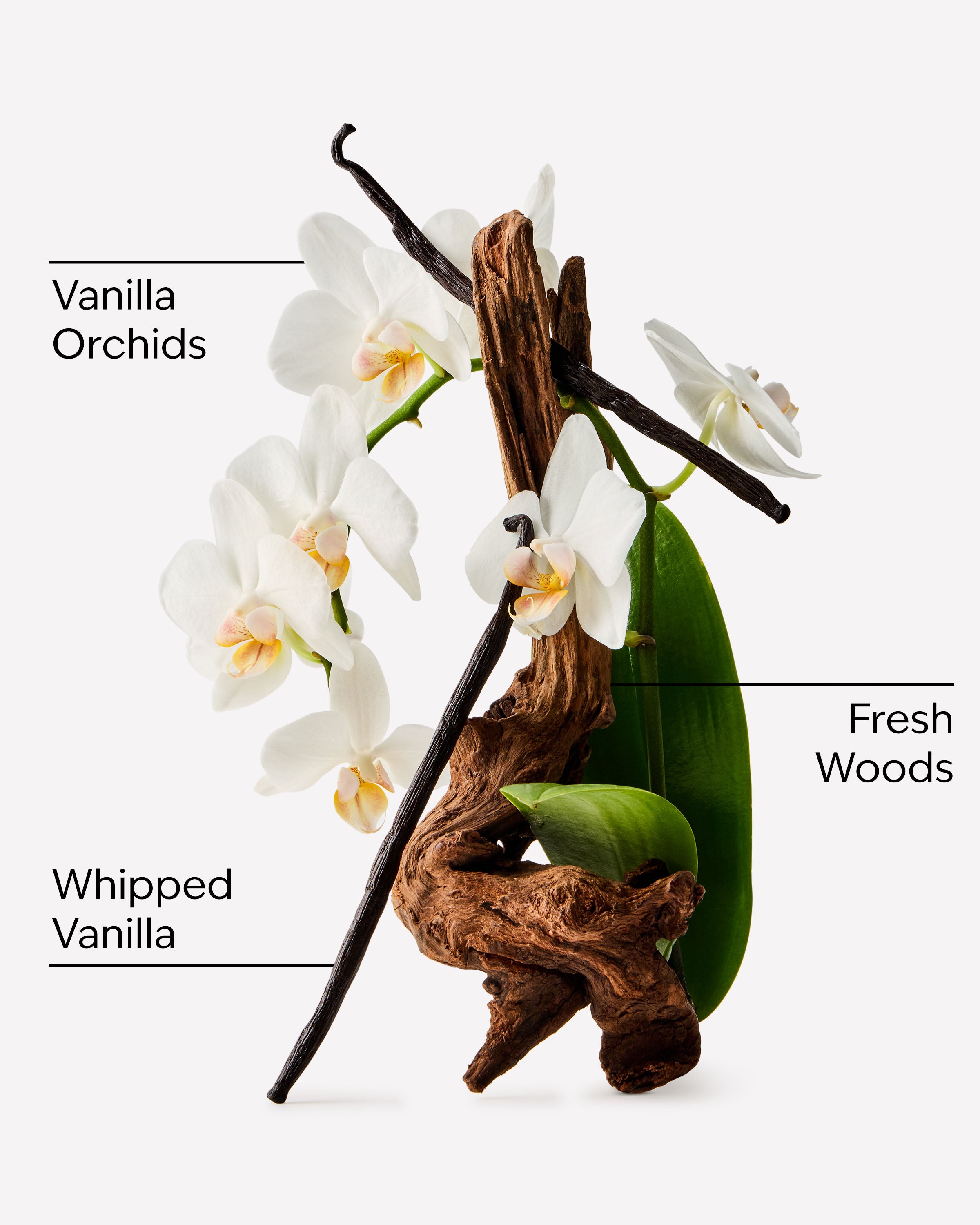 Orchid Effect Fine Fragrance Mist