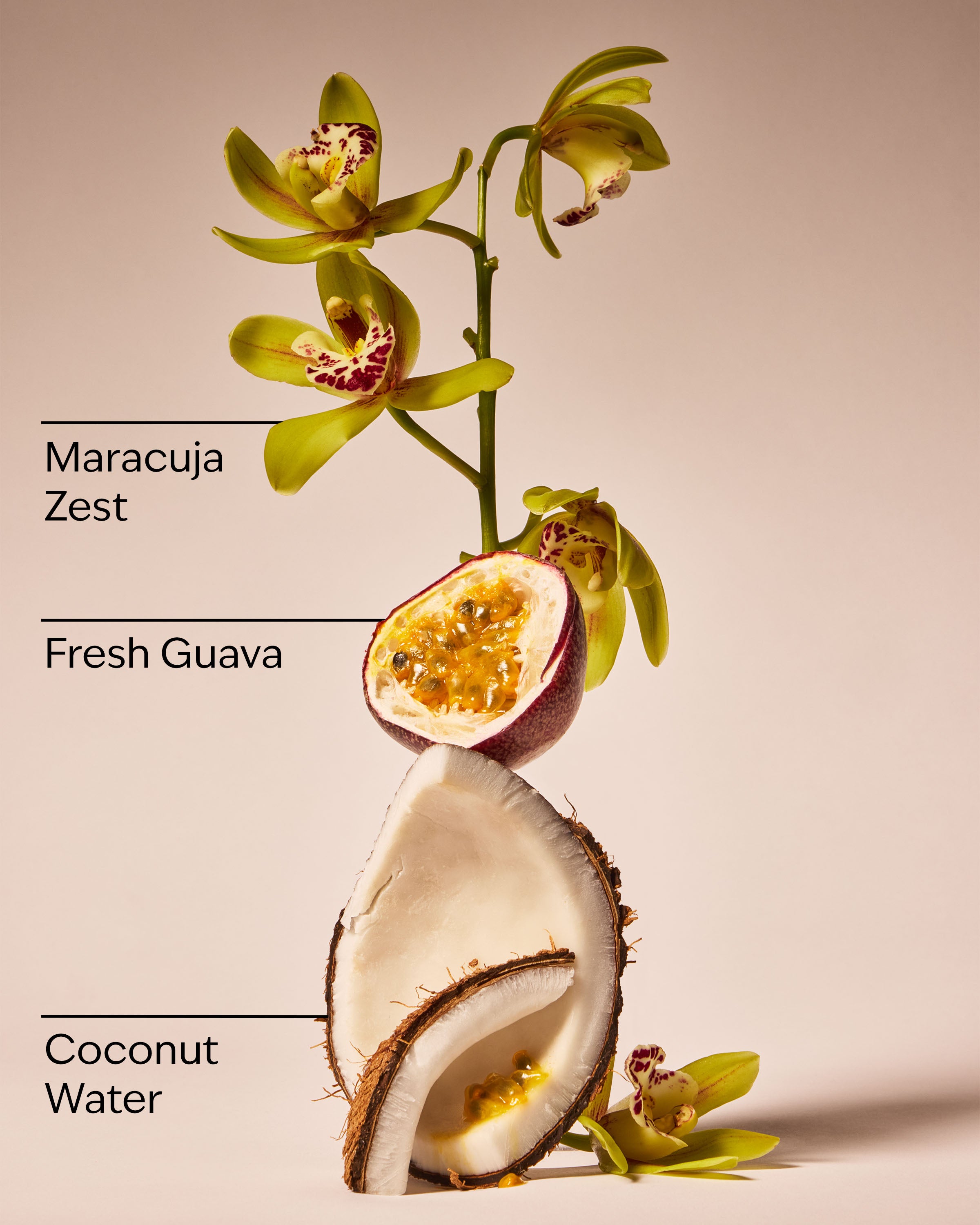 Viva Brazil 3-Wick Candle