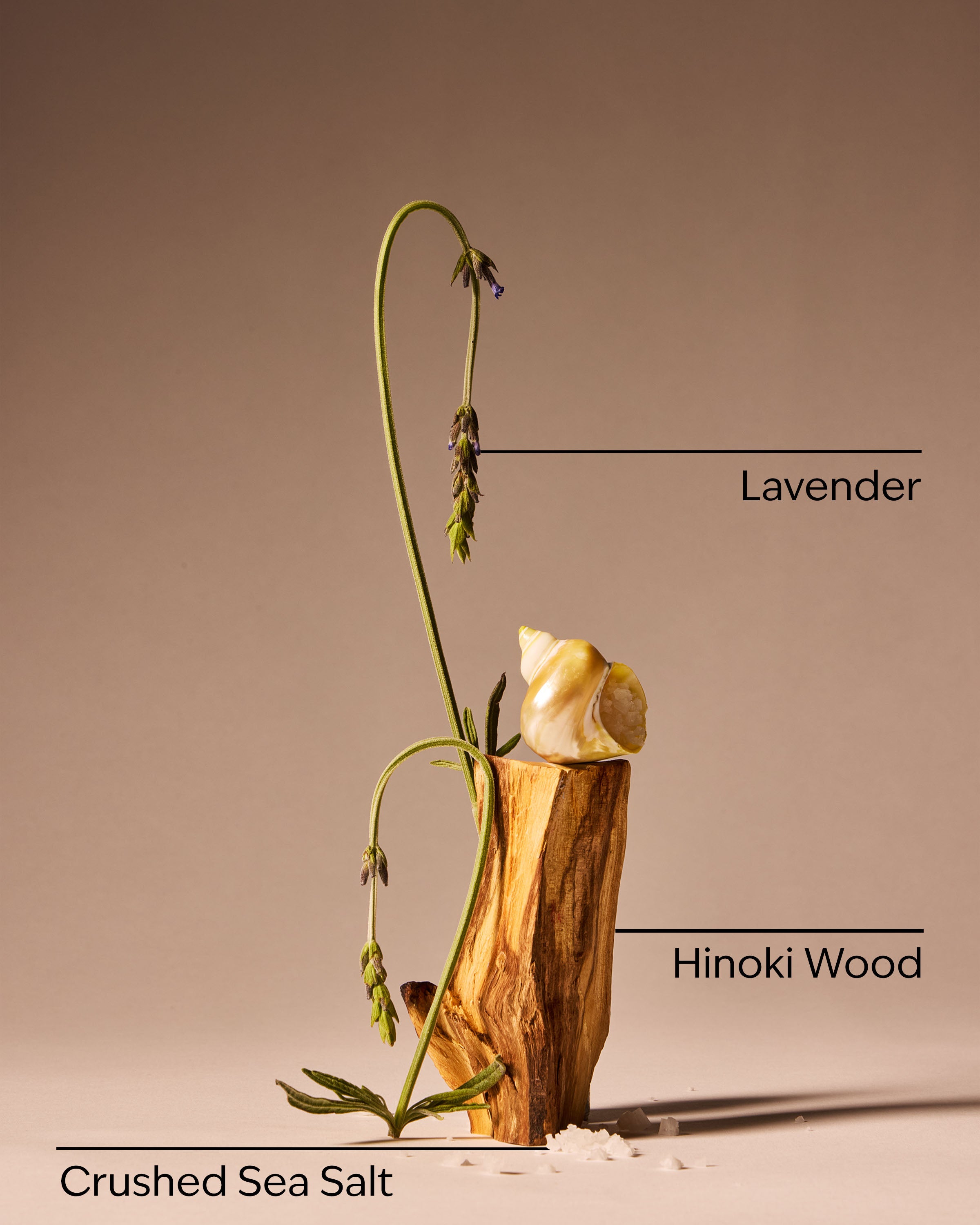 Sea Salt Crush Revitalizing Gel Hand Soap