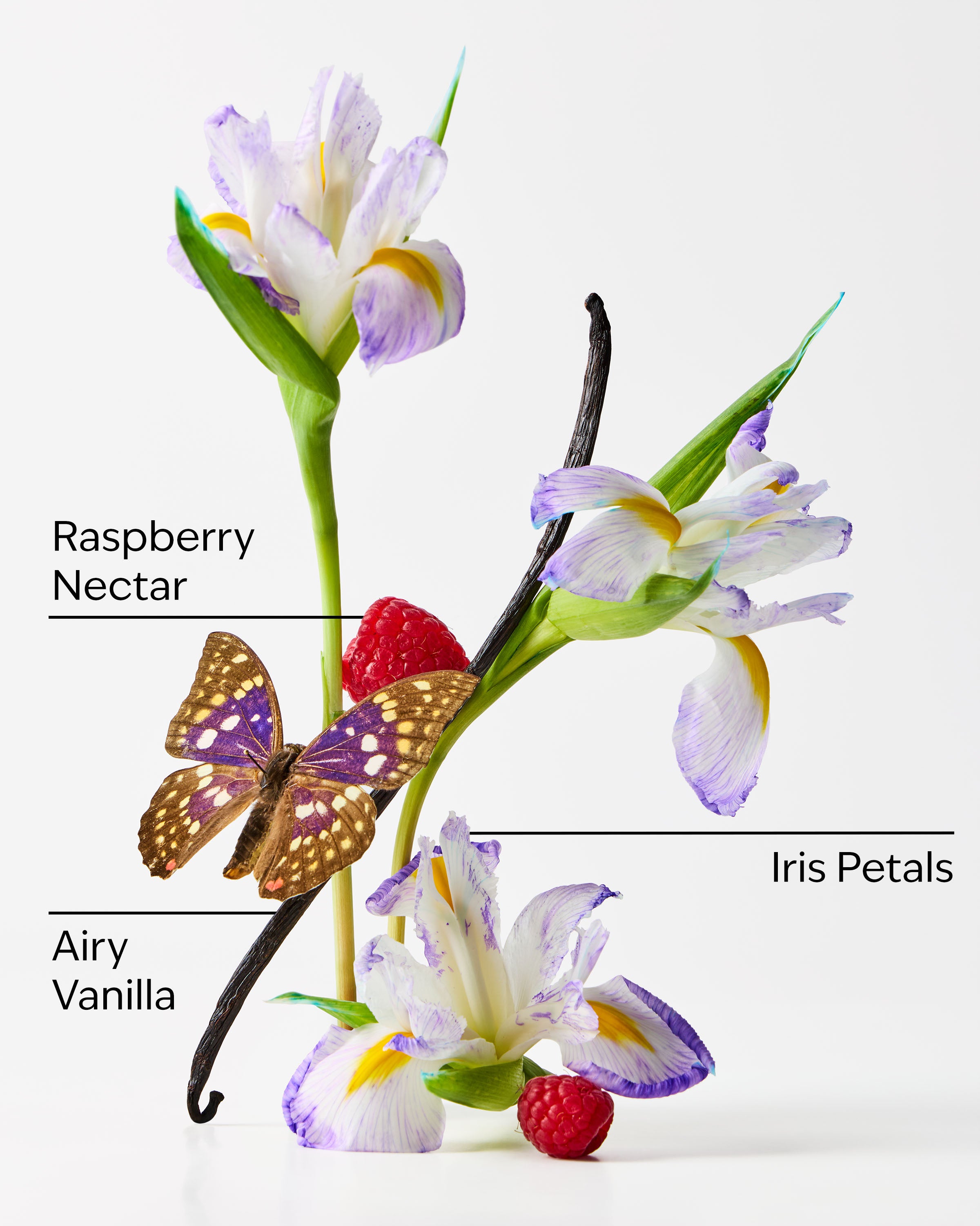 Butterfly Fine Fragrance Mist