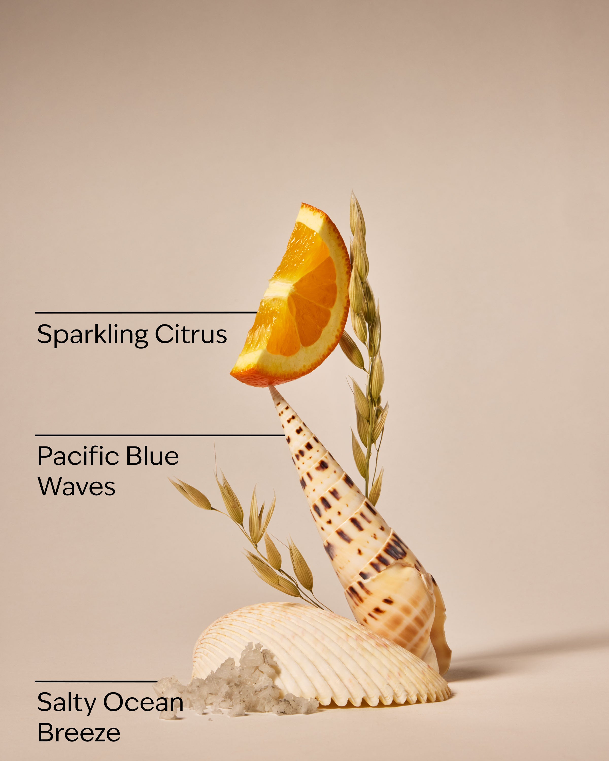 Malibu Mist Hand Sanitizer Spray