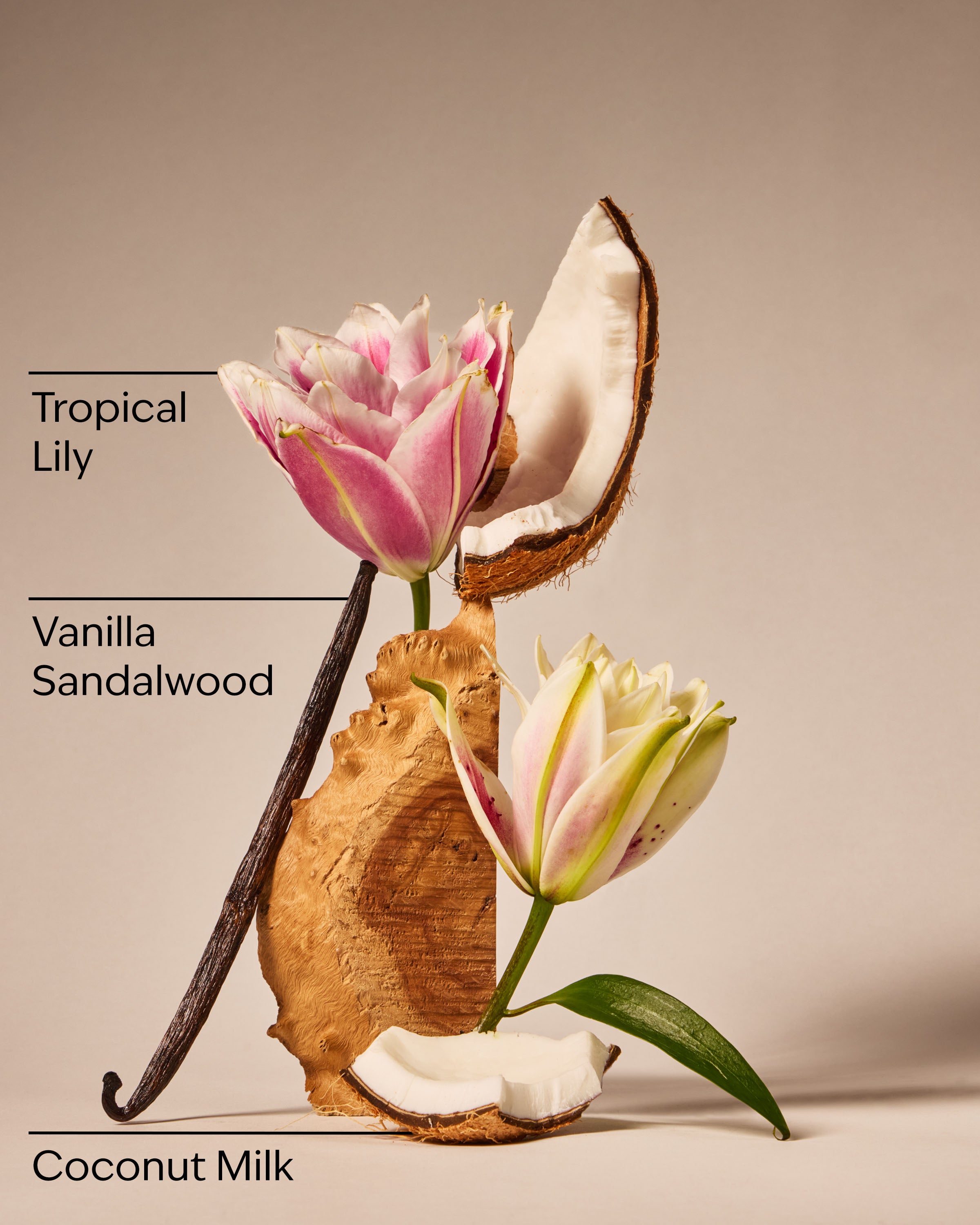 Eau De Coconut Fine Fragrance Mist