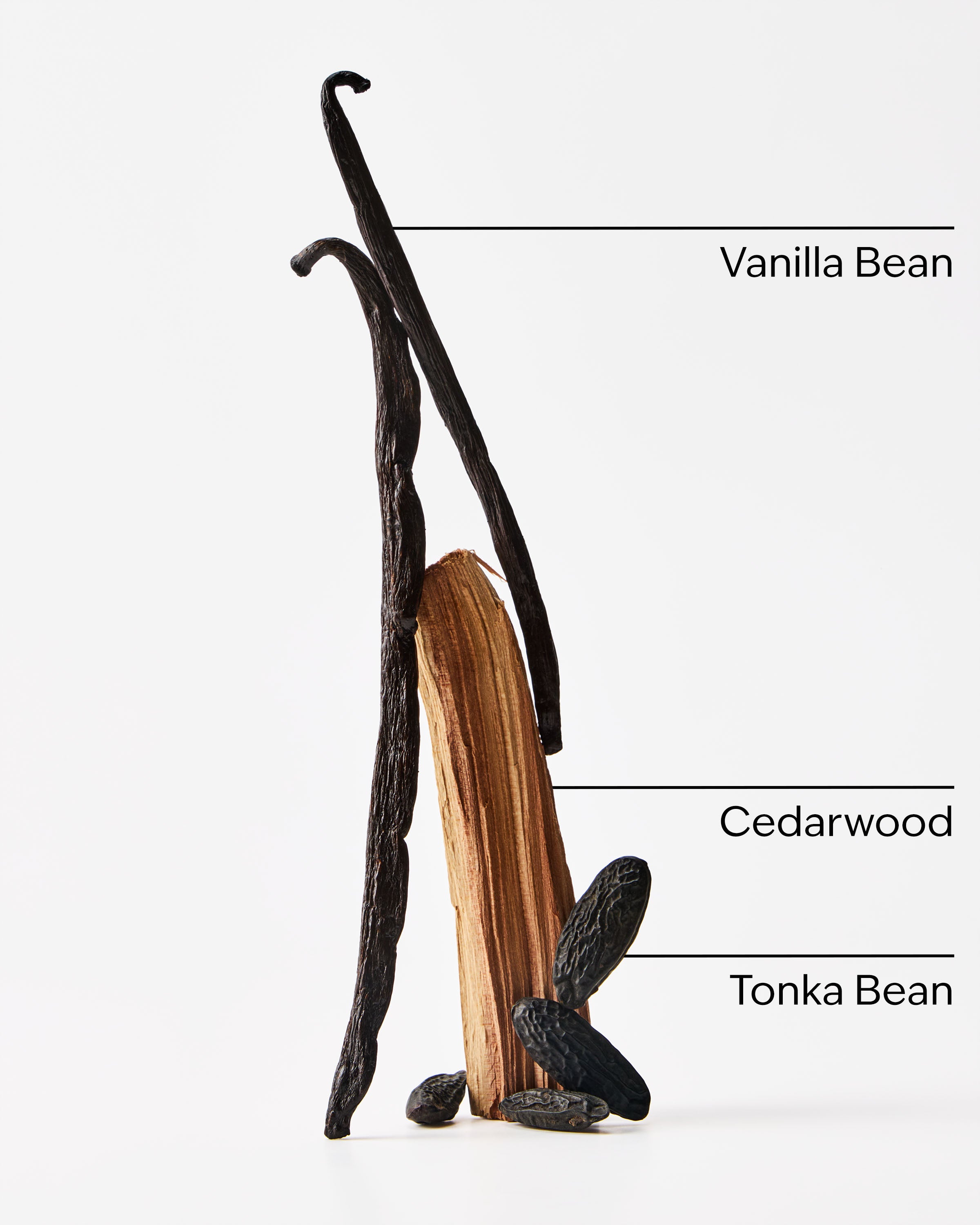 Vanilla + Tonka 4-Wick Candle