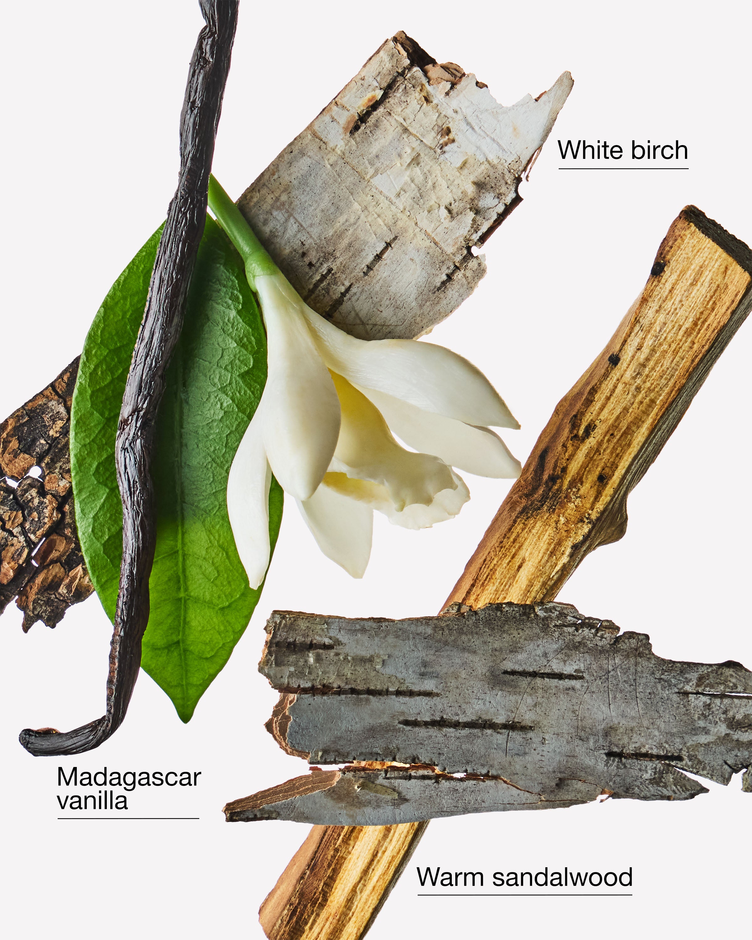 Vanilla Birch 3-Wick Candle