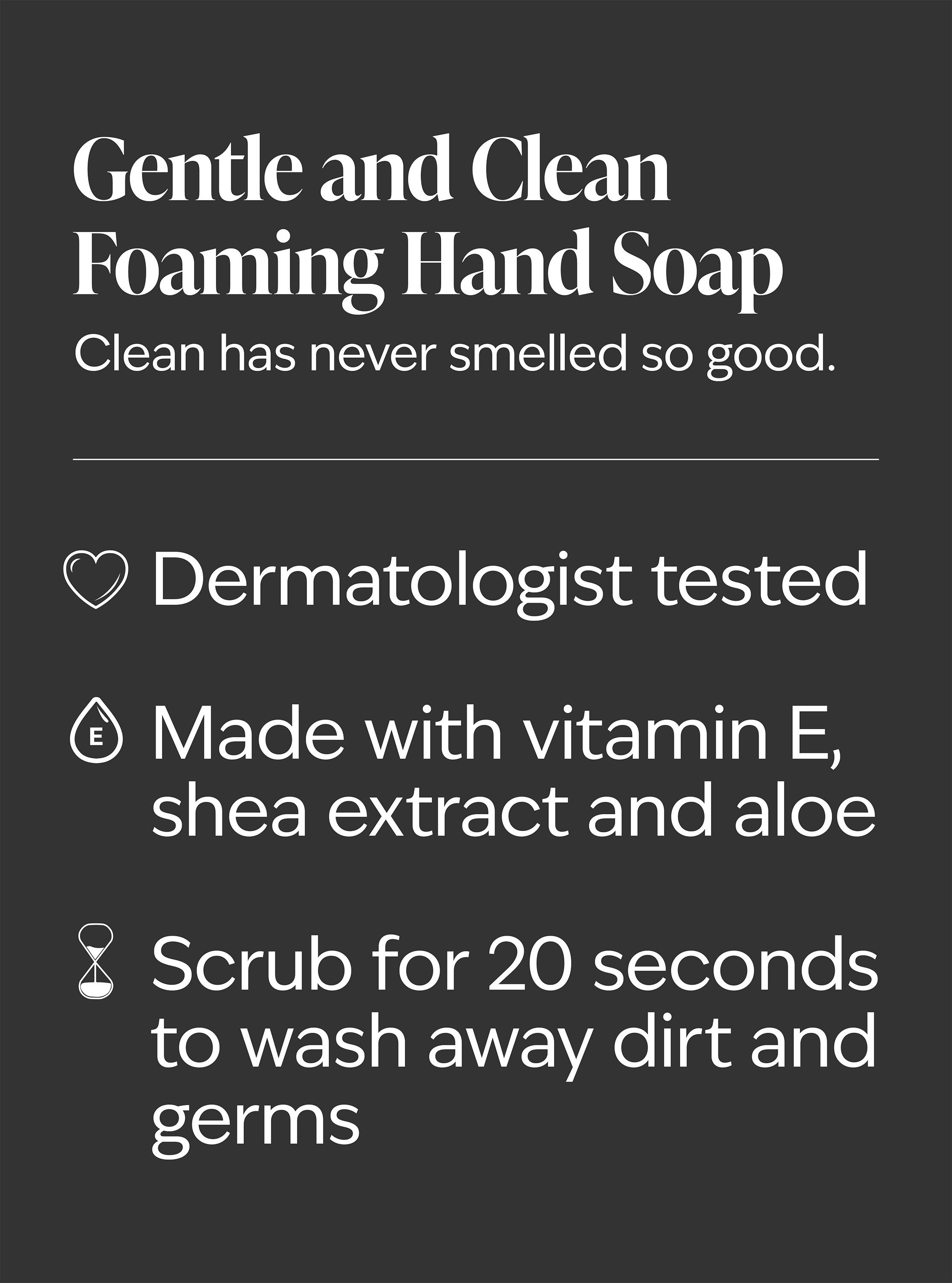 Maleficent Gentle & Clean Foaming Hand Soap